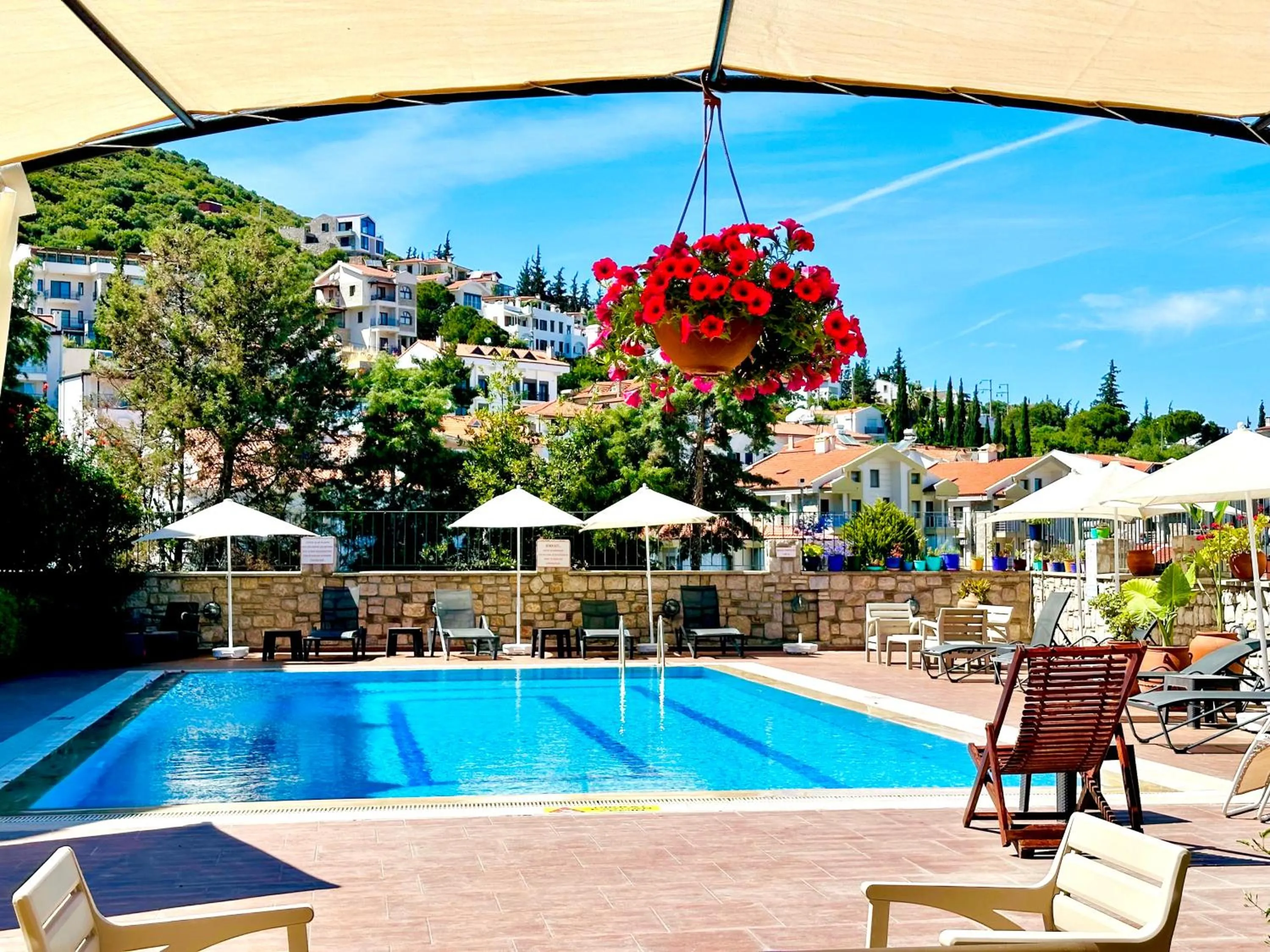 Swimming pool in Villa Anfora