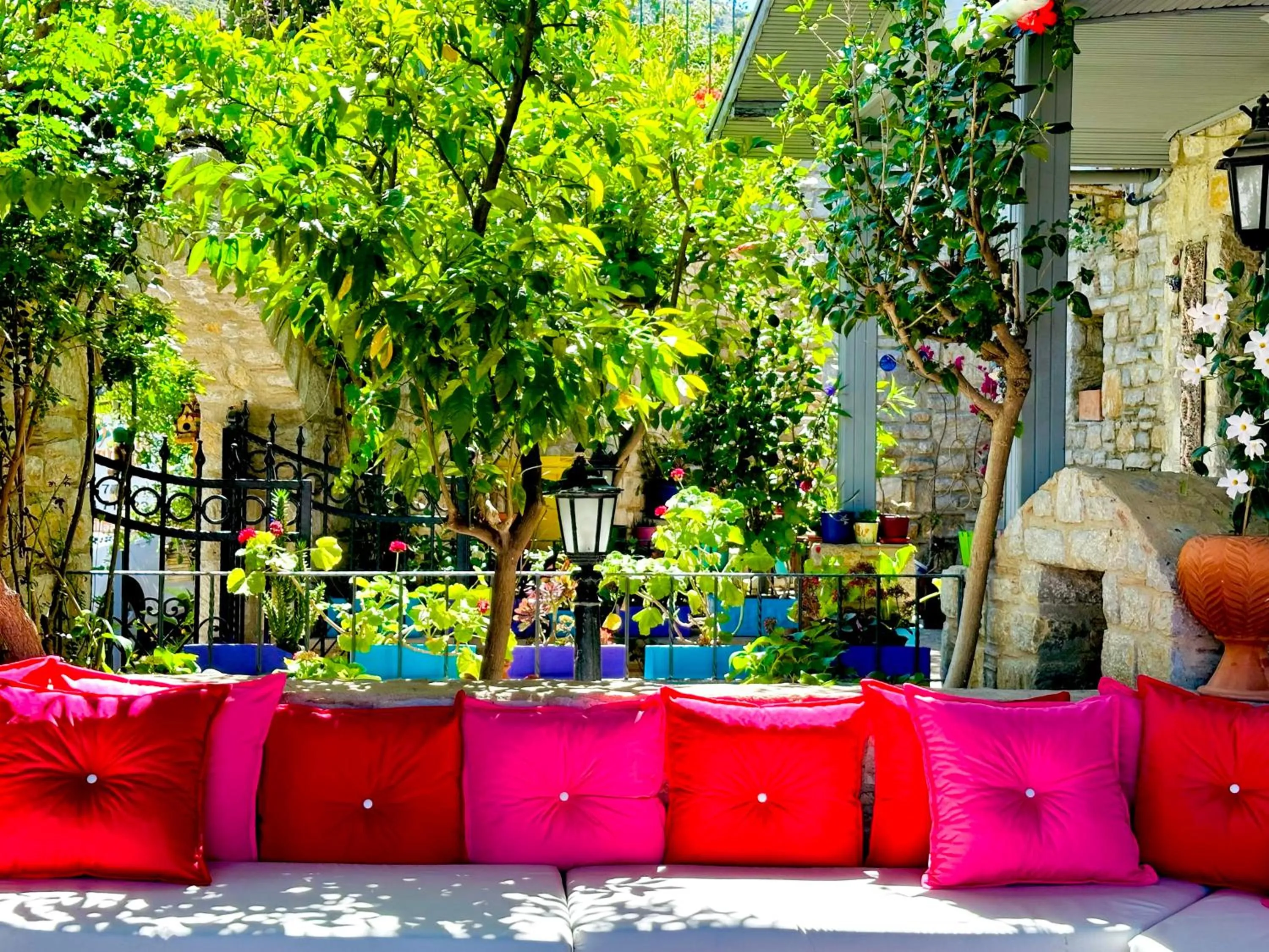 Garden in Villa Anfora