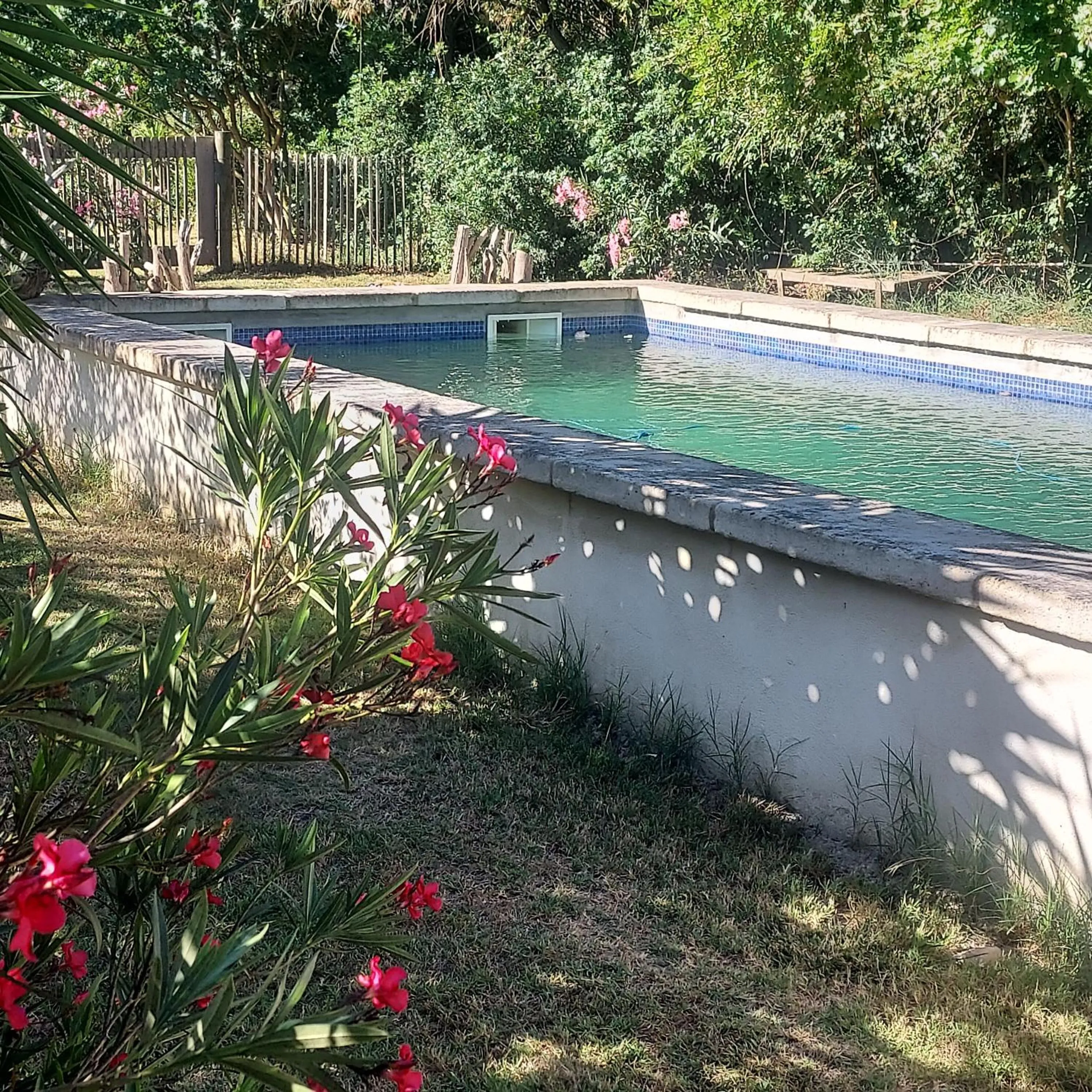 Bergerie d'Alivon en Camargue