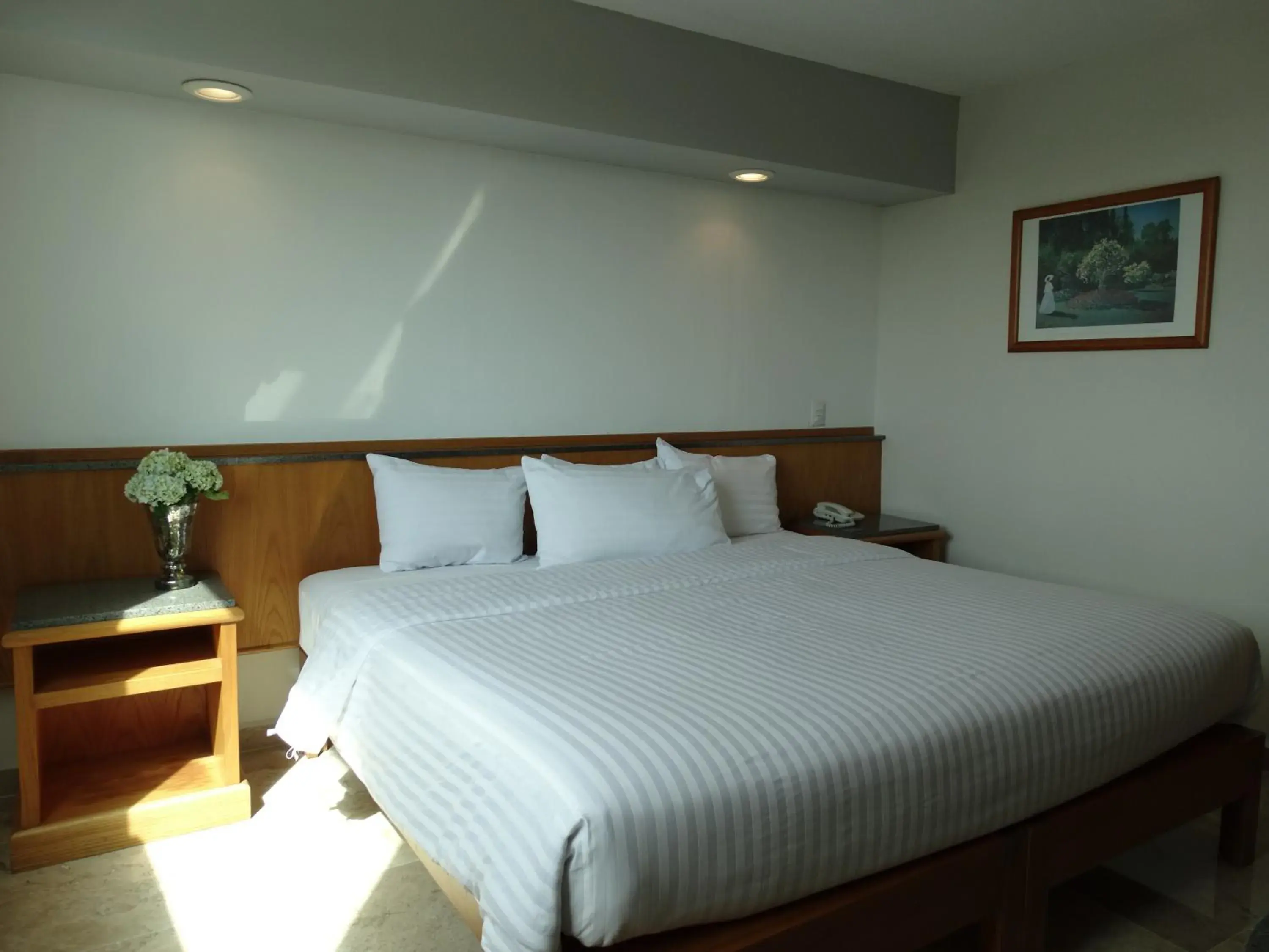 Standard Room - single occupancy in Hotel Amberes Standard Room - single occupancy in Hotel Amberes