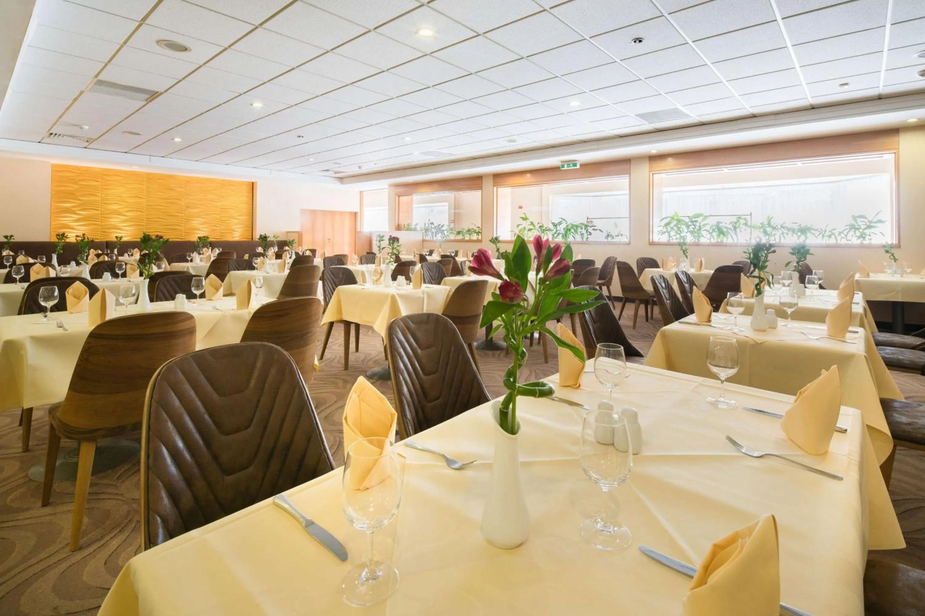 Restaurant/places to eat in Best Western Hotel Jena