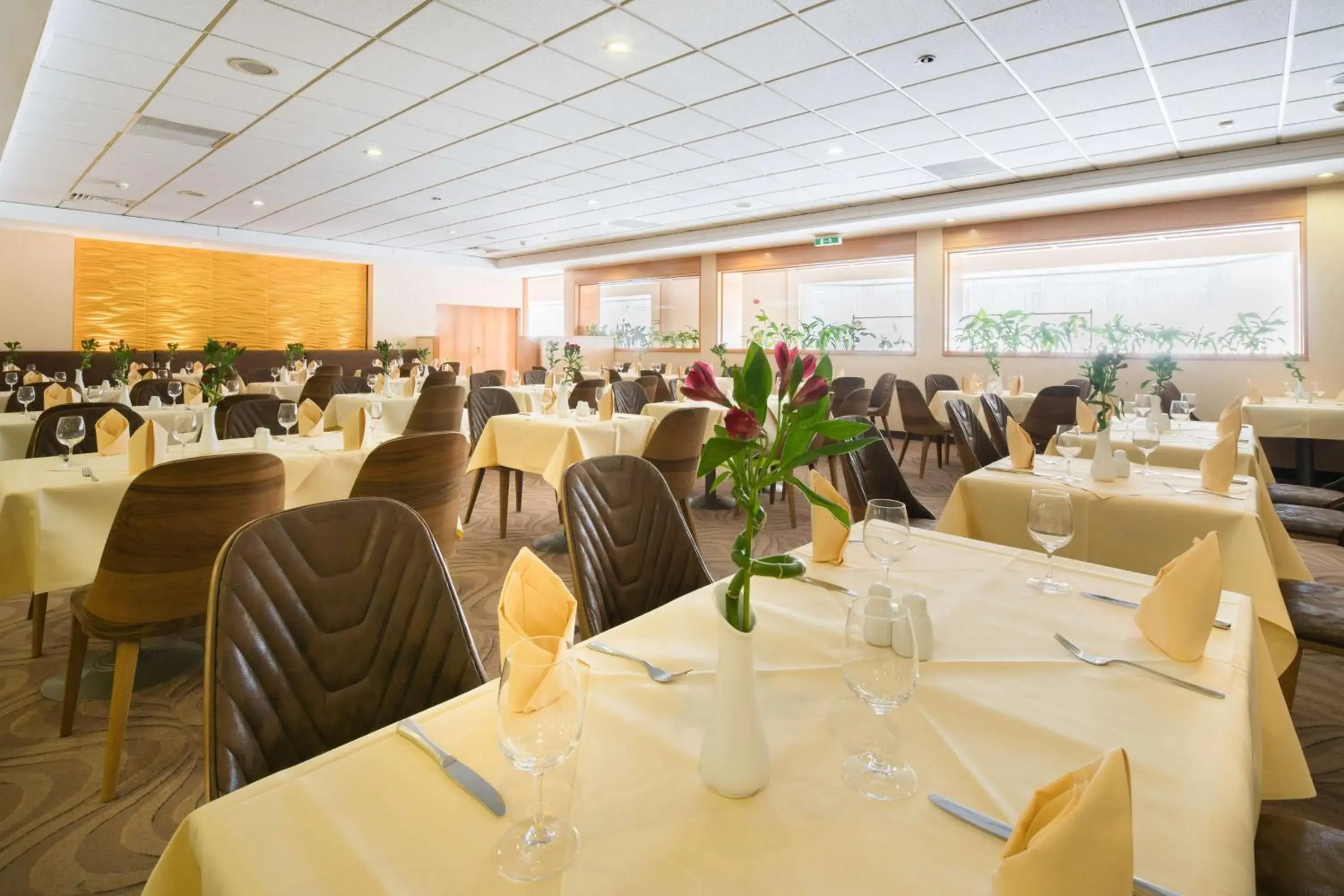 Restaurant/places to eat in Best Western Hotel Jena Restaurant/places to eat in Best Western Hotel Jena