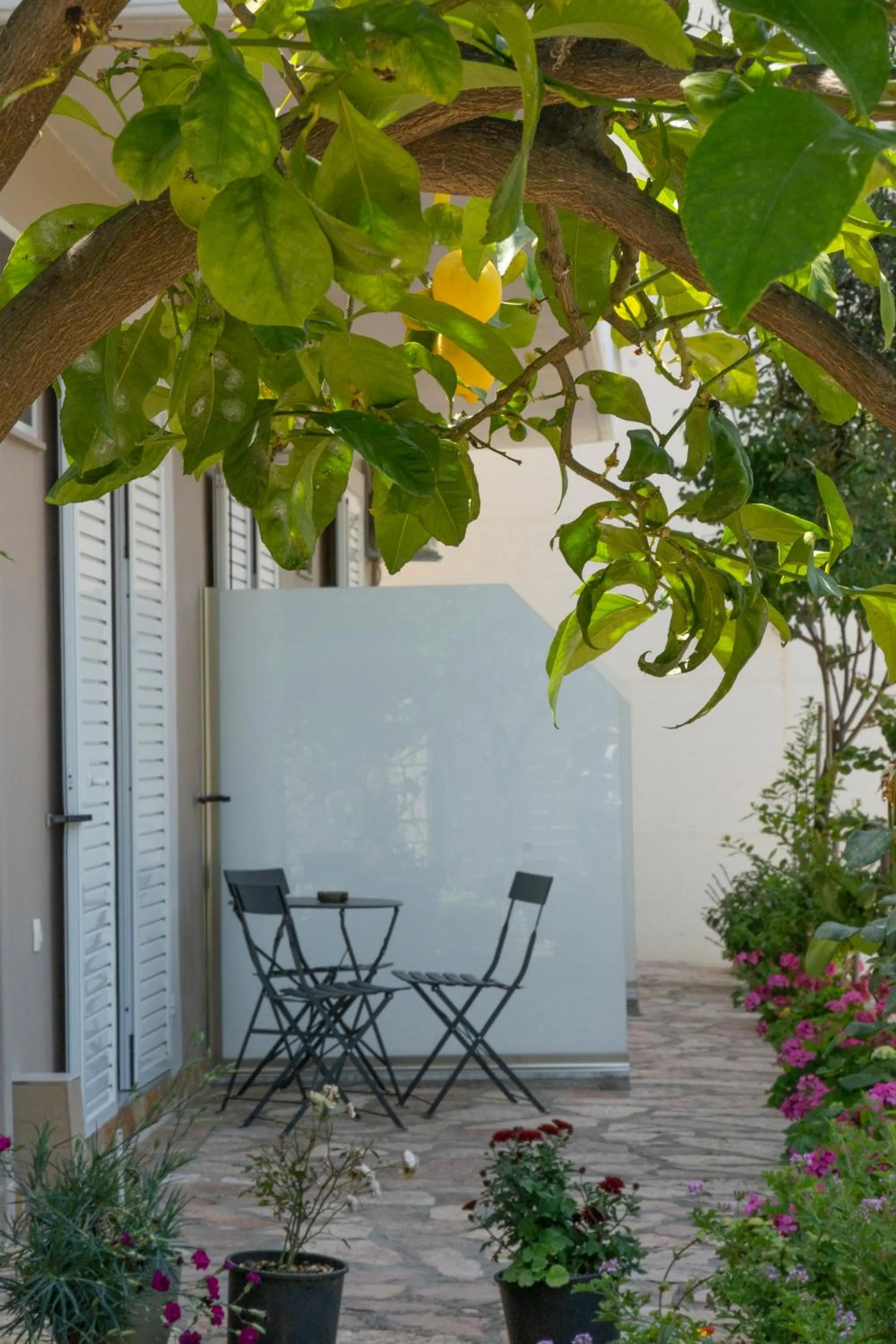 Patio in Koks’ Guesthouse