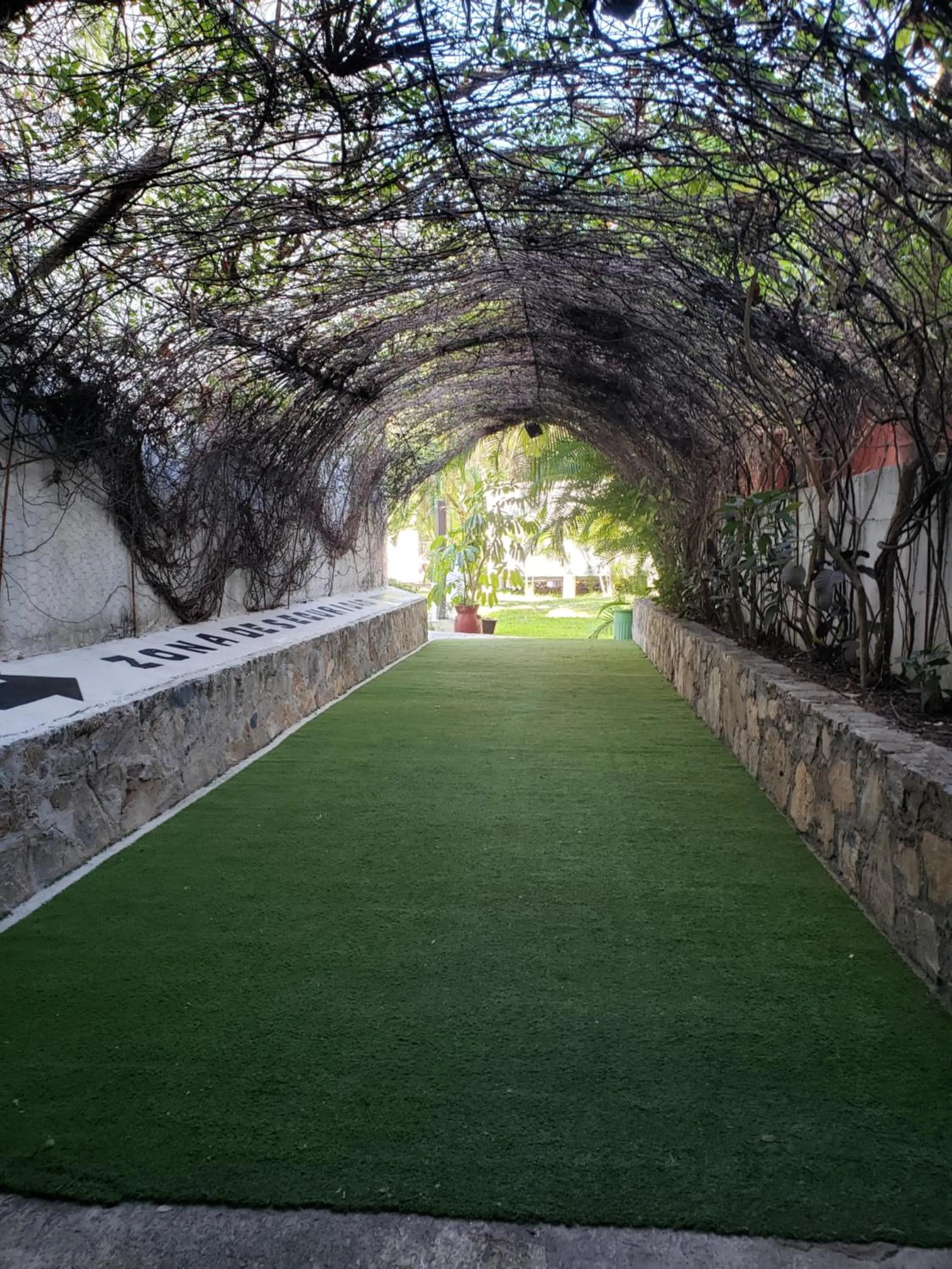 Garden in Hotel Plaza Huatulco Bungalows