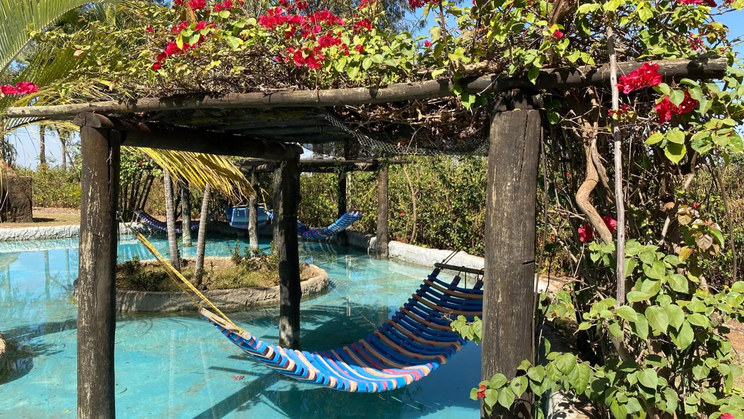 Garden in Mirante Praia Hotel