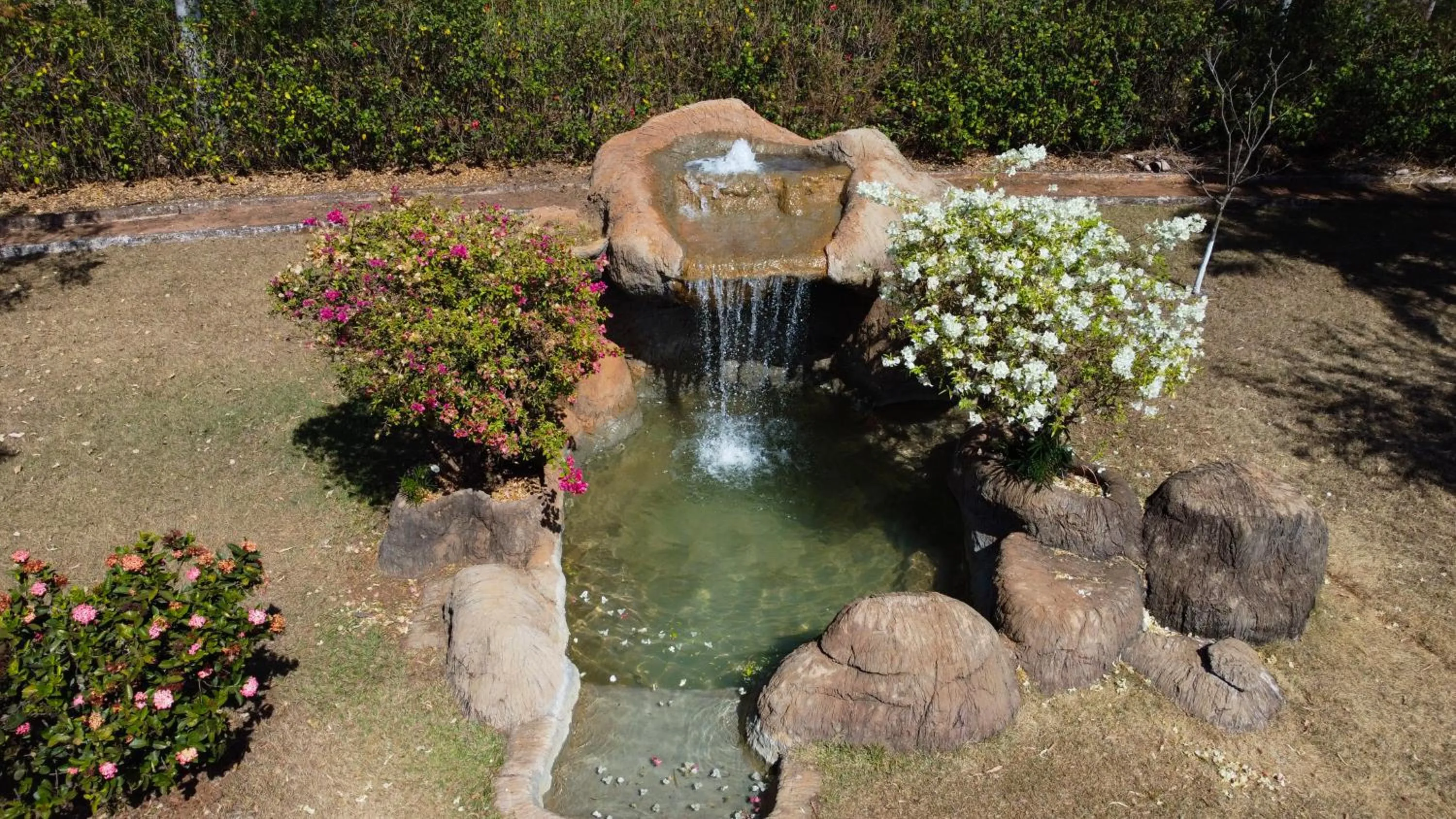 Garden view in Mirante Praia Hotel