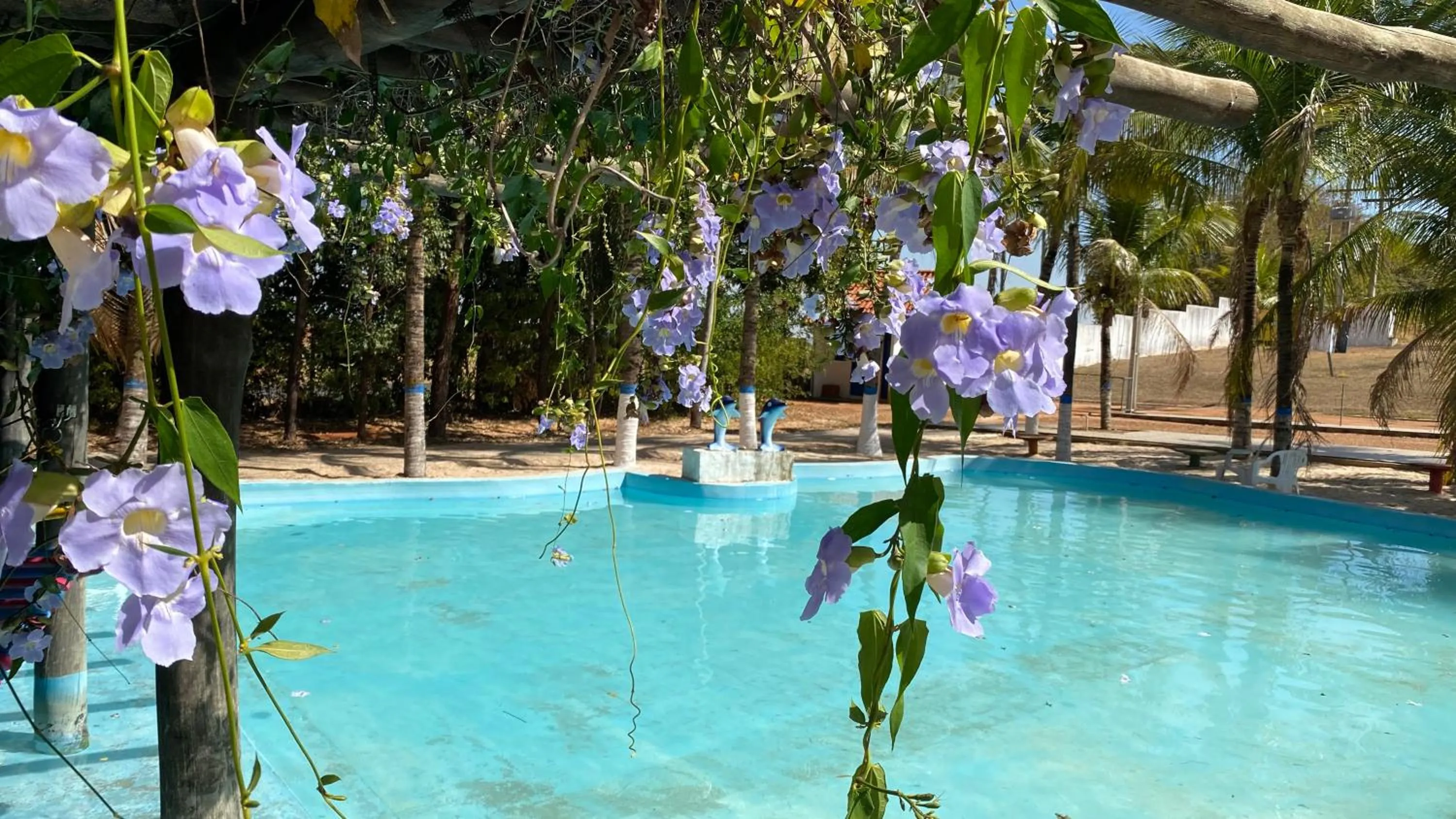 Pool view in Mirante Praia Hotel