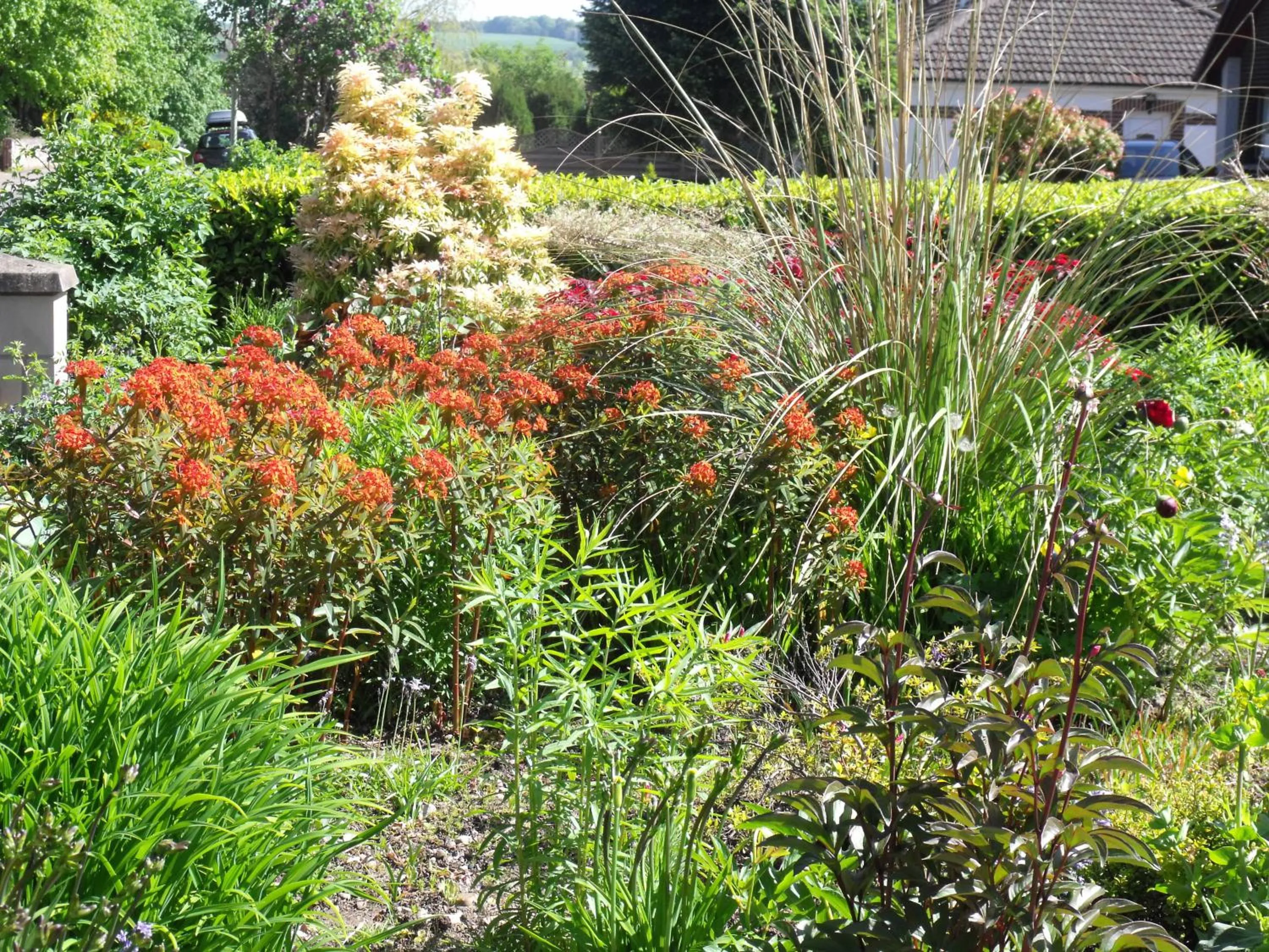 Summer in Arisaig Guest House