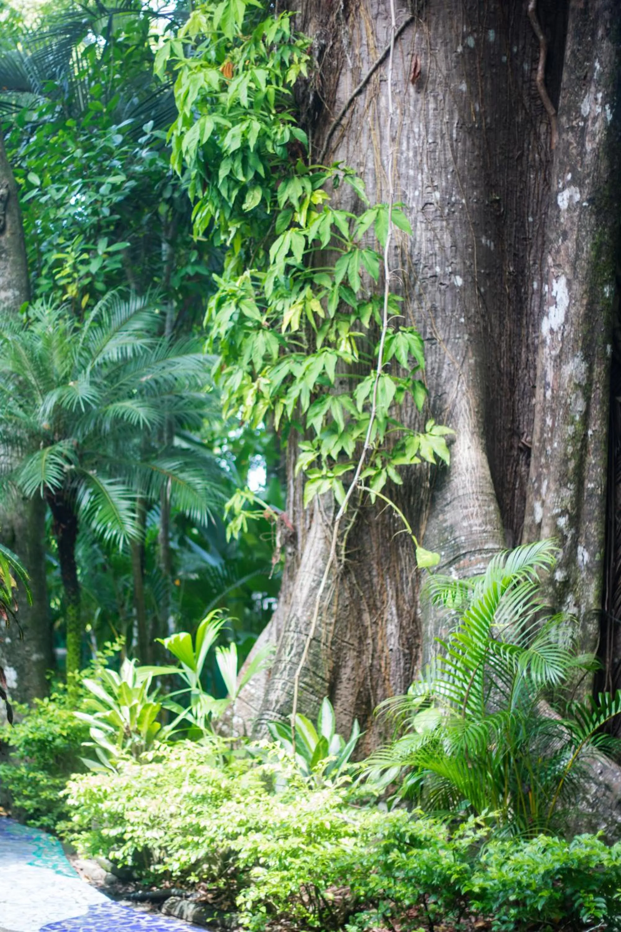 Property building in Oceanfront Hotel Verde Mar direct access to the beach