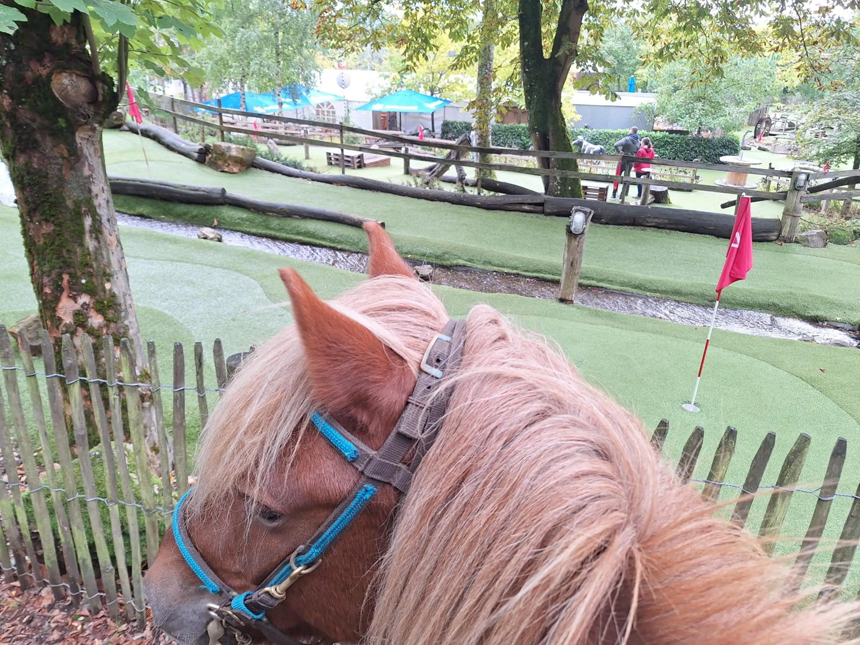 Hotel Restaurant Litermont