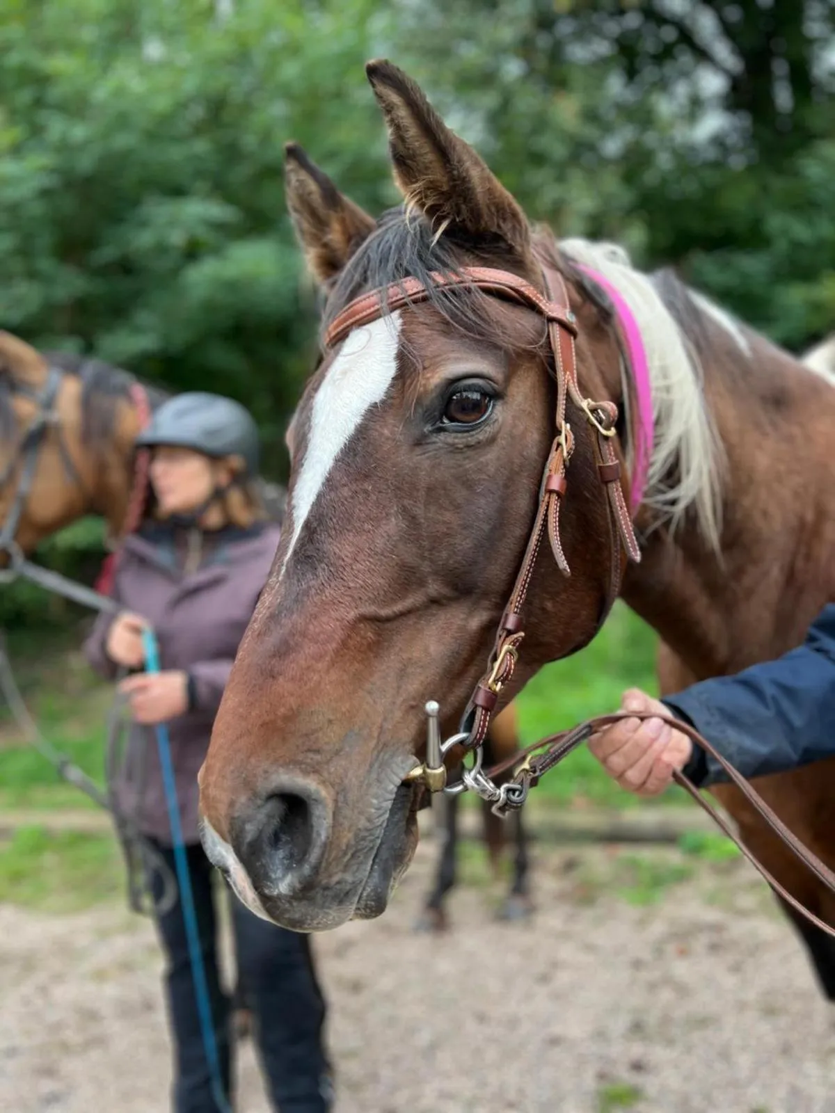 Hotel Restaurant Litermont