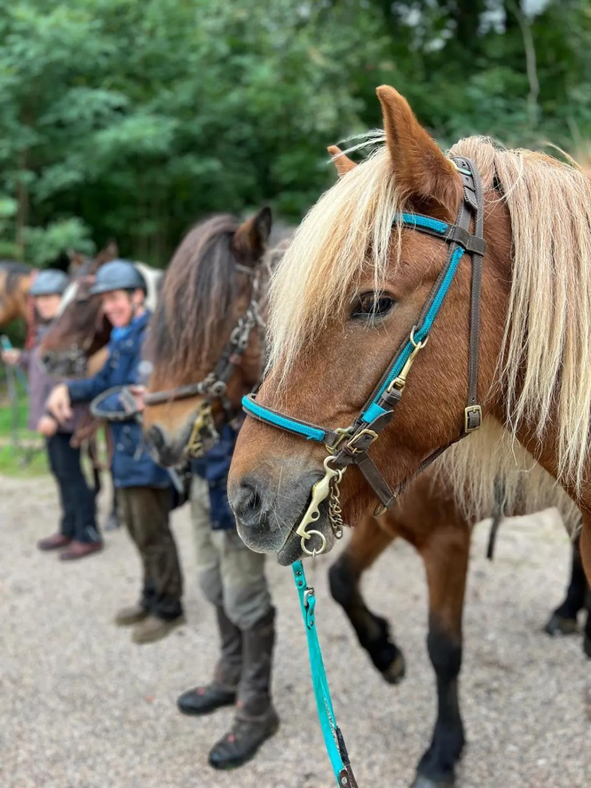 Hotel Restaurant Litermont