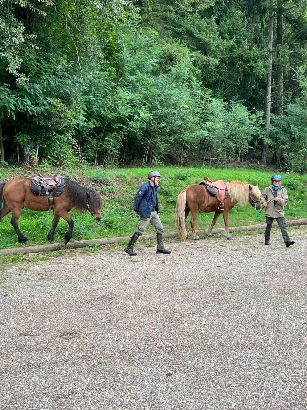 Hotel Restaurant Litermont