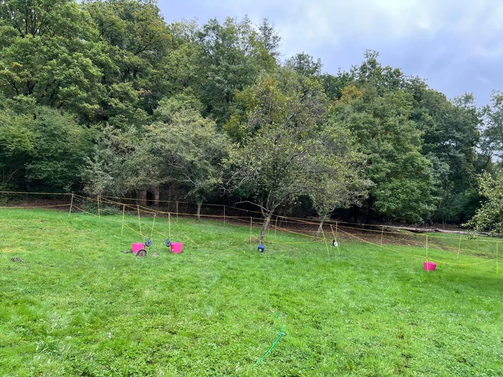 Hotel Restaurant Litermont