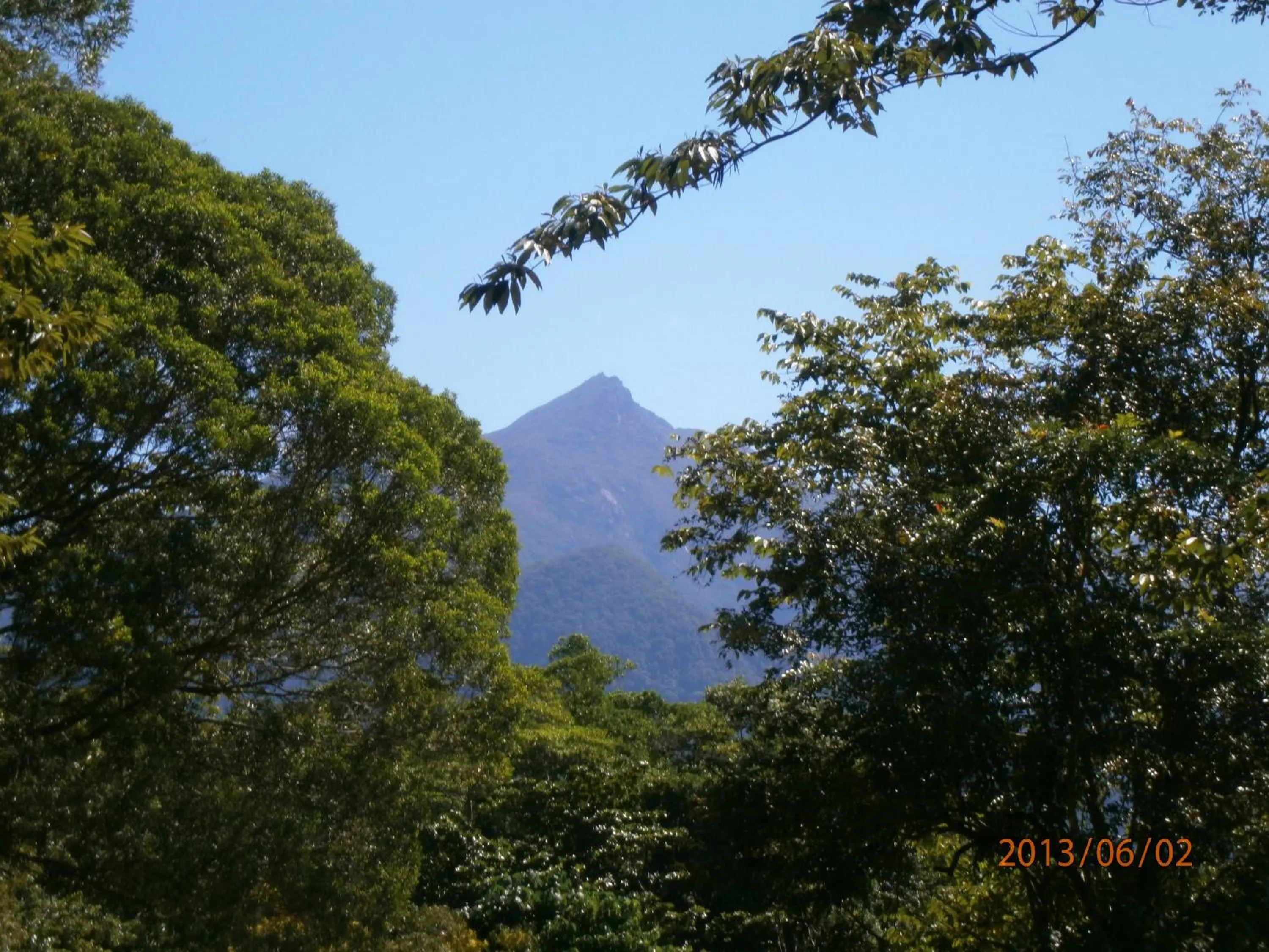 Natural landscape in Thornton Beach Bungalows Daintree