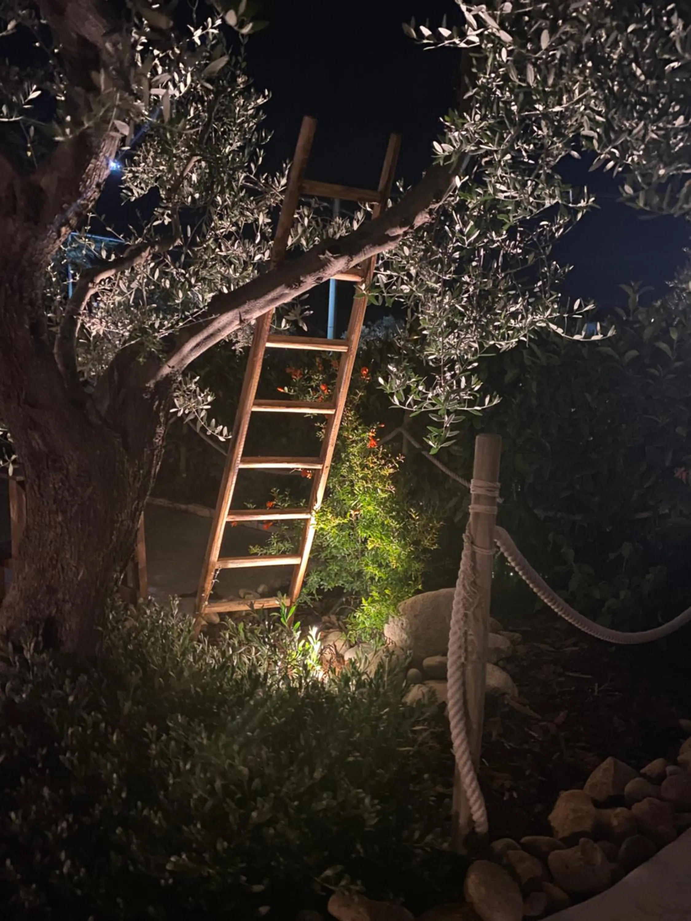 Night in Borgo Incoronata B&B