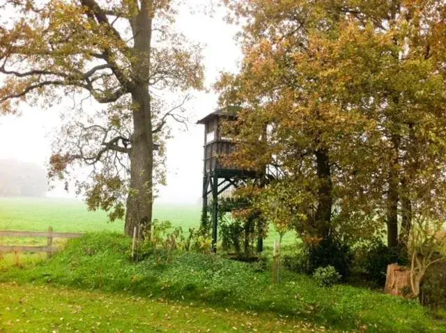 View (from property/room) in Landhotel Waldseiter Hof View (from property/room) in Landhotel Waldseiter Hof