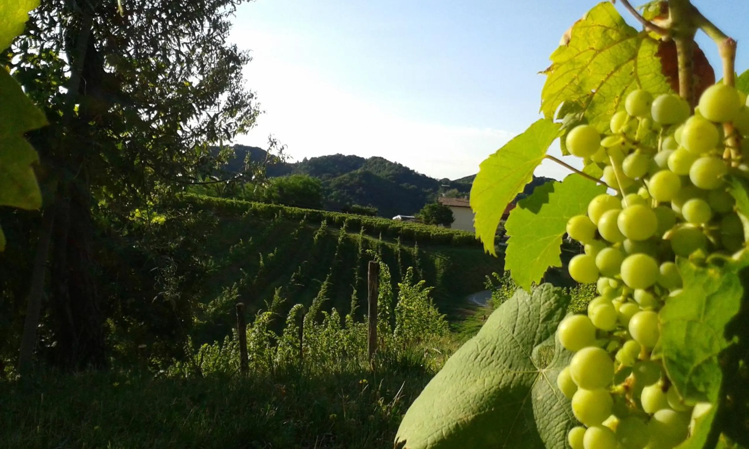 Natural landscape in B&B Mirò