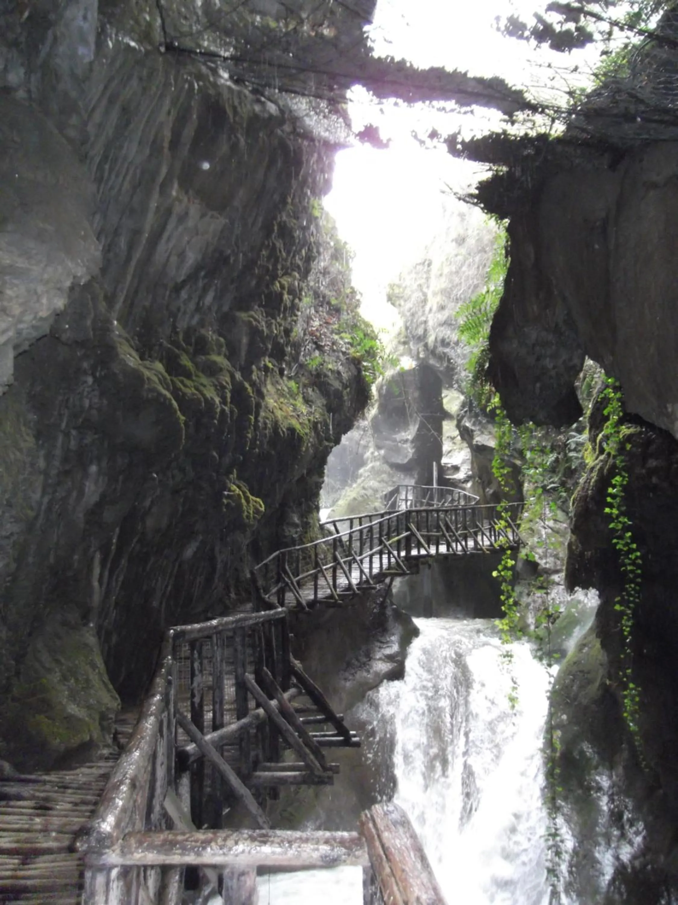 Natural landscape in B&B Mirò