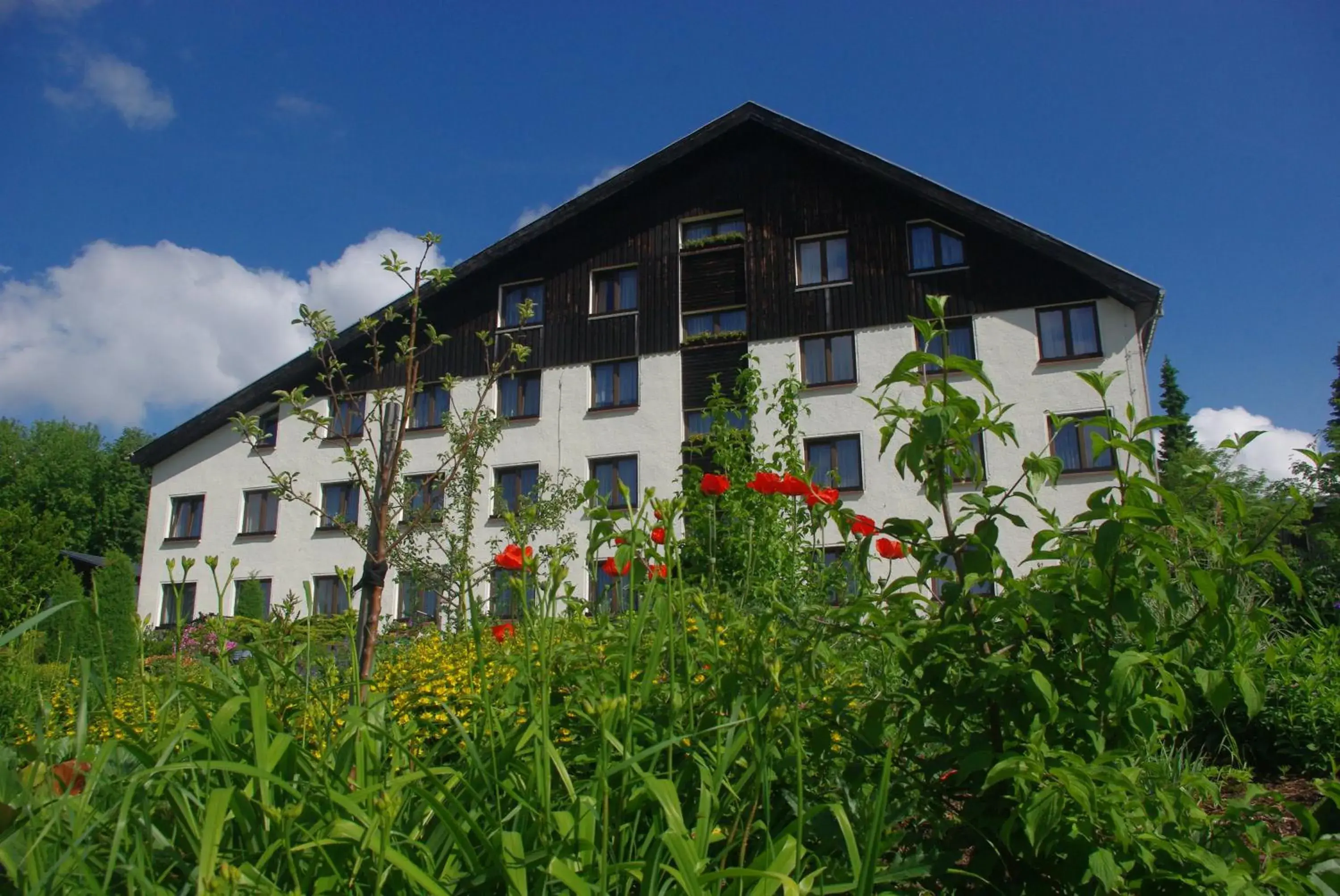 Facade/entrance, Property Building in Hotel Forstmeister