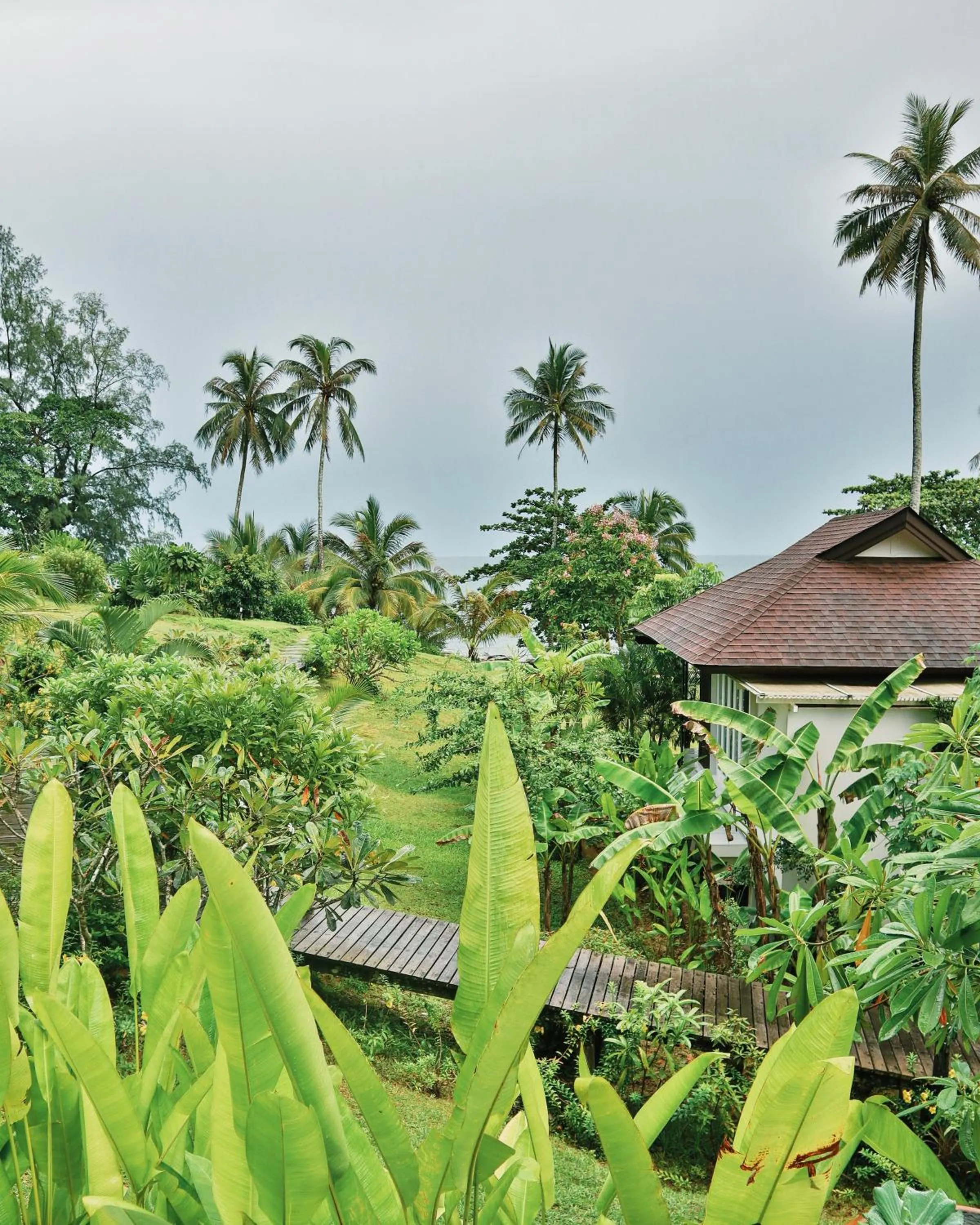 Natural landscape in Shantaa Resort, Kohkood