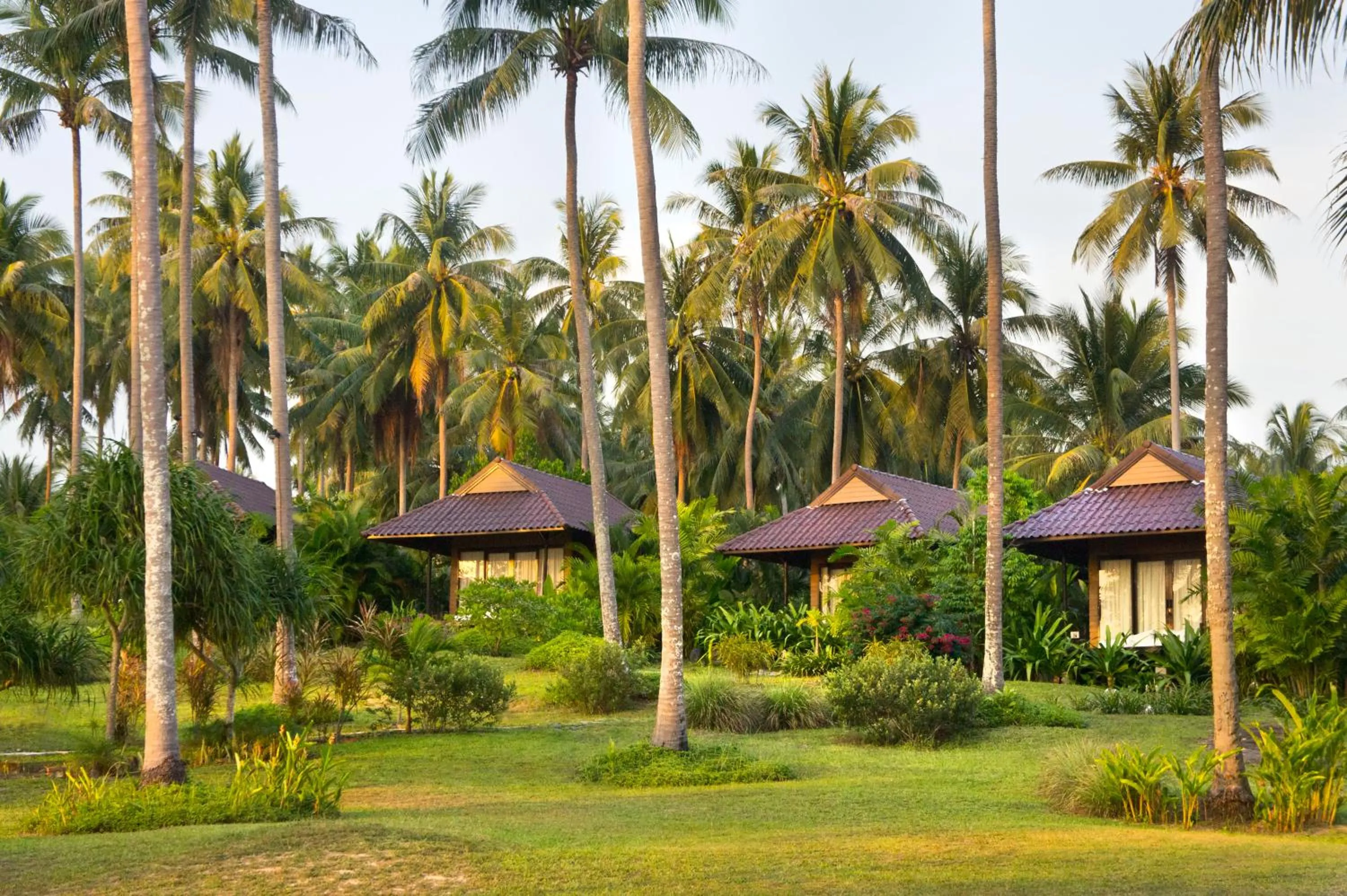 Natural landscape in Shantaa Resort, Kohkood