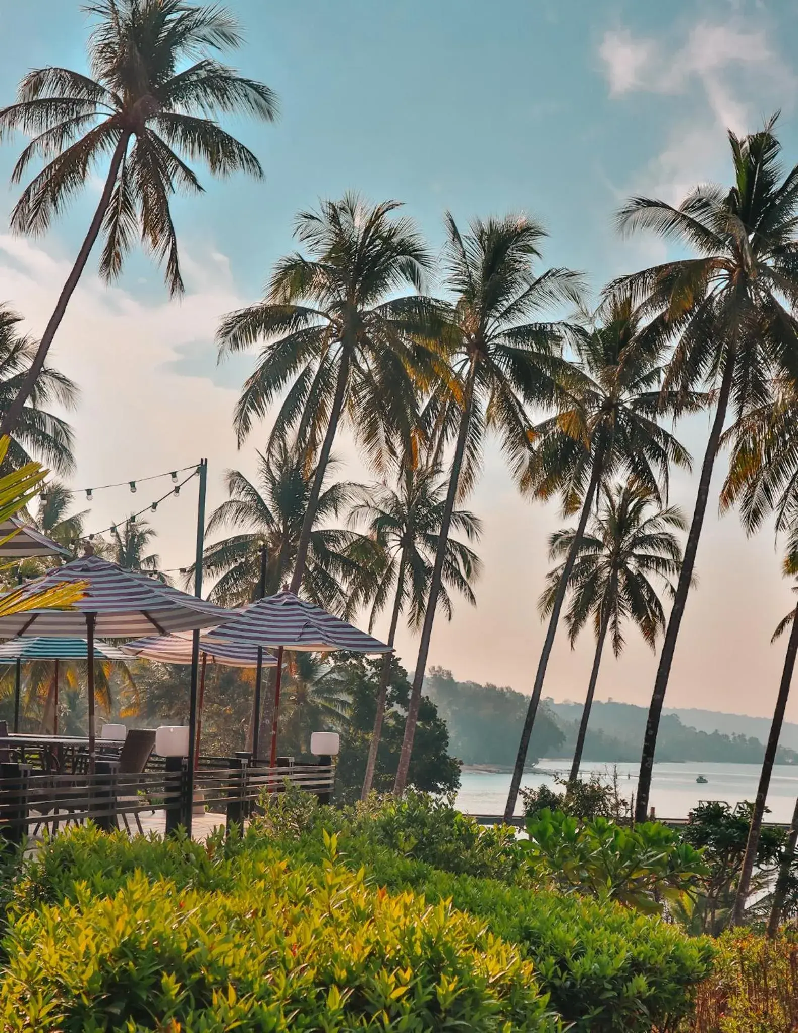 Restaurant/places to eat in Shantaa Resort, Kohkood Restaurant/places to eat in Shantaa Resort, Kohkood