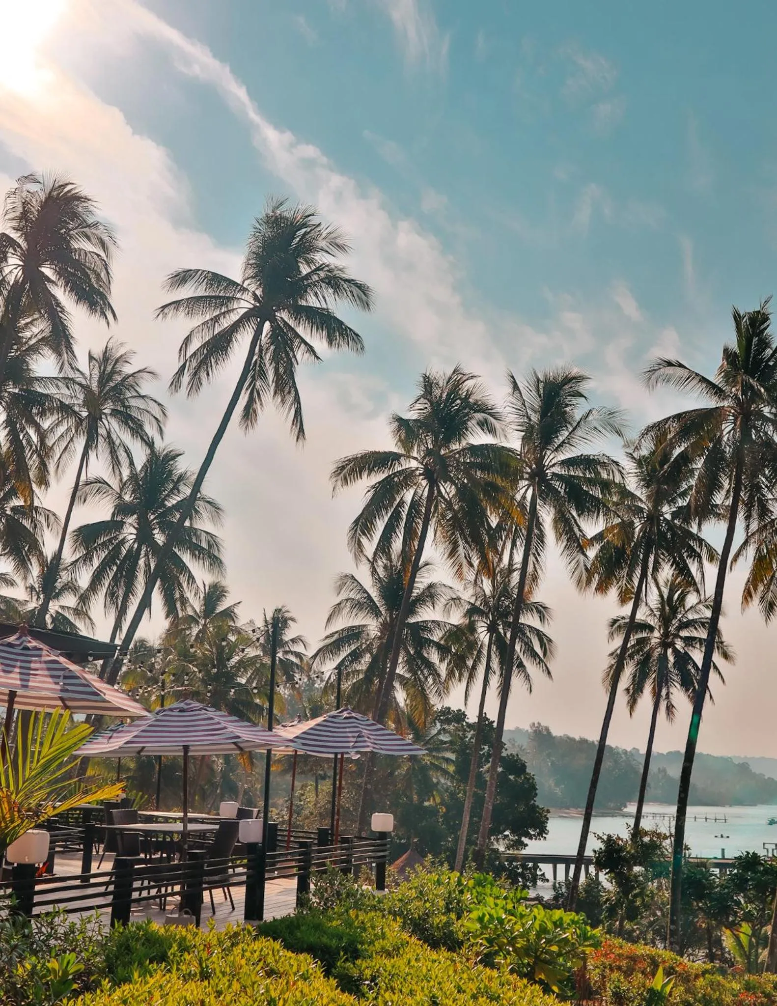 Restaurant/places to eat in Shantaa Resort, Kohkood