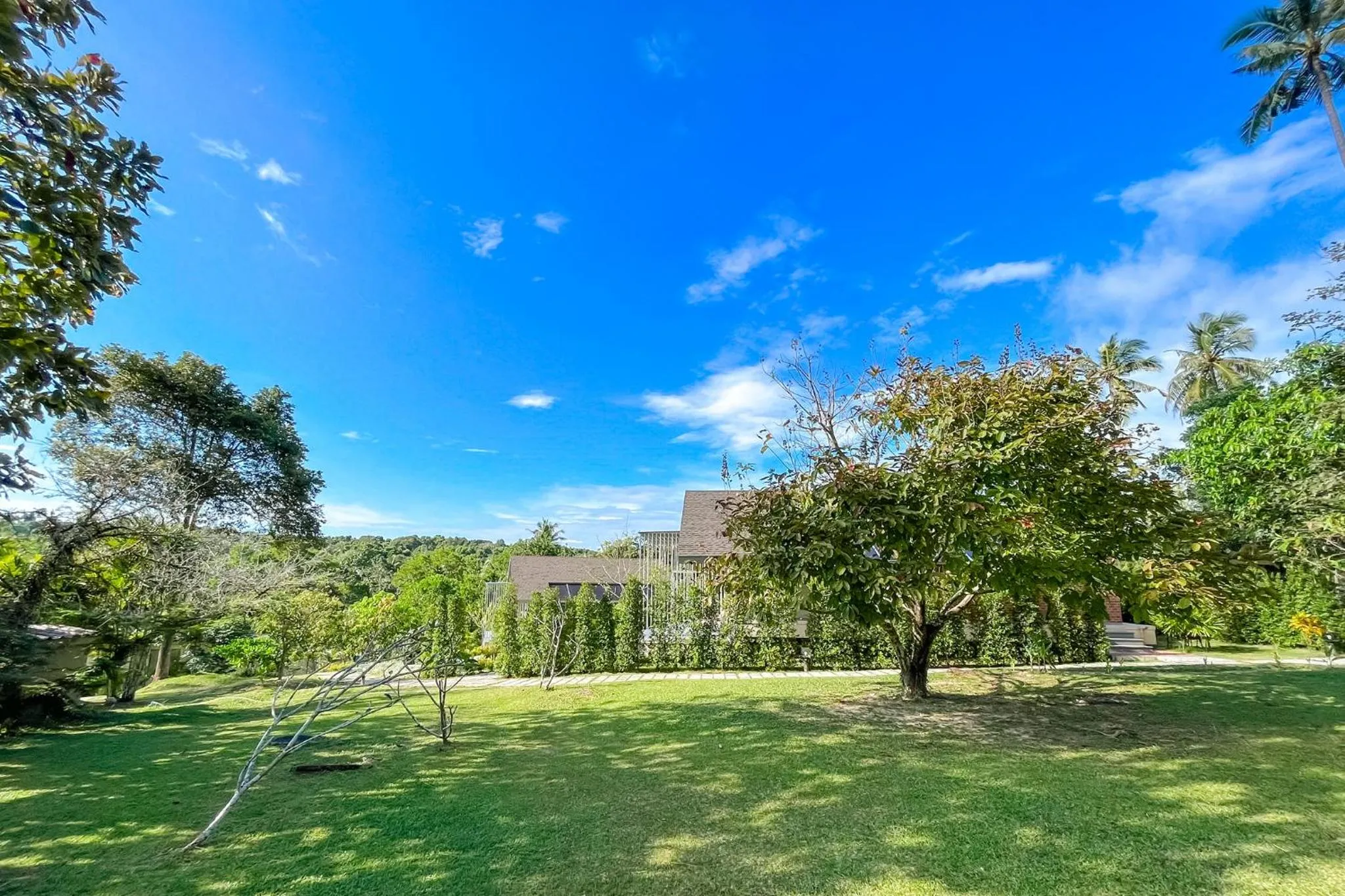 Natural landscape in Shantaa Resort, Kohkood