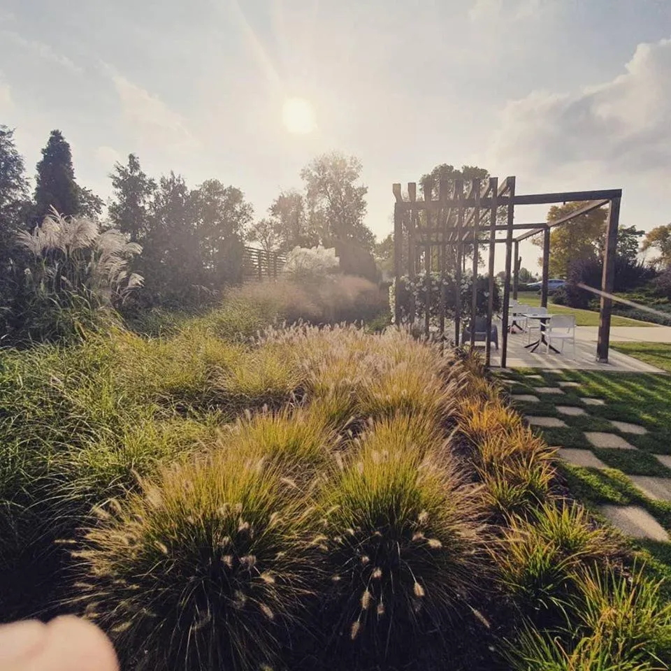 Garden in Hotel Sulbin