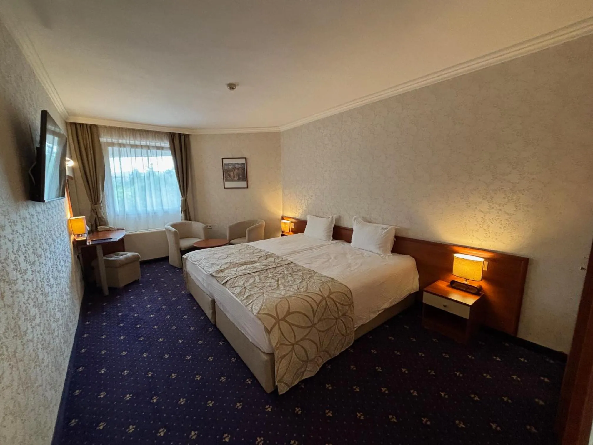 Bed in Hissar Spa Hotel