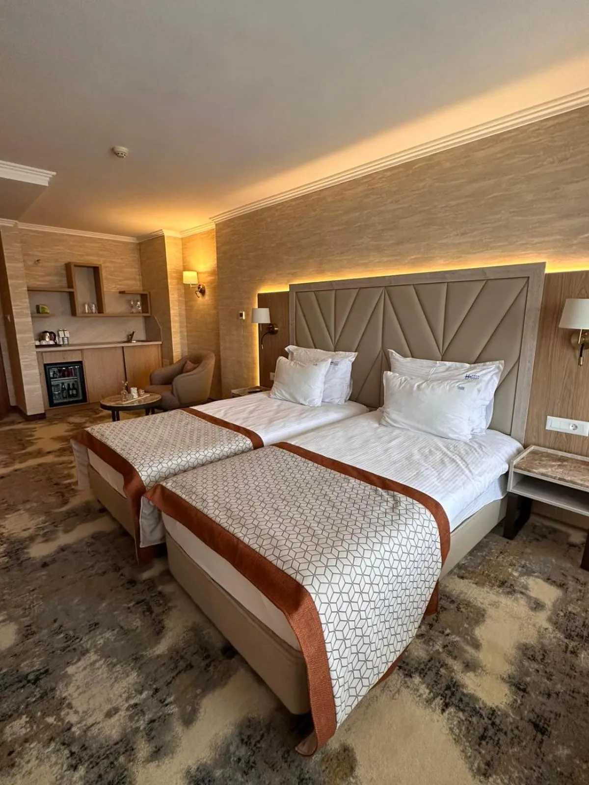 Kitchen or kitchenette, Bed in Hissar Spa Hotel