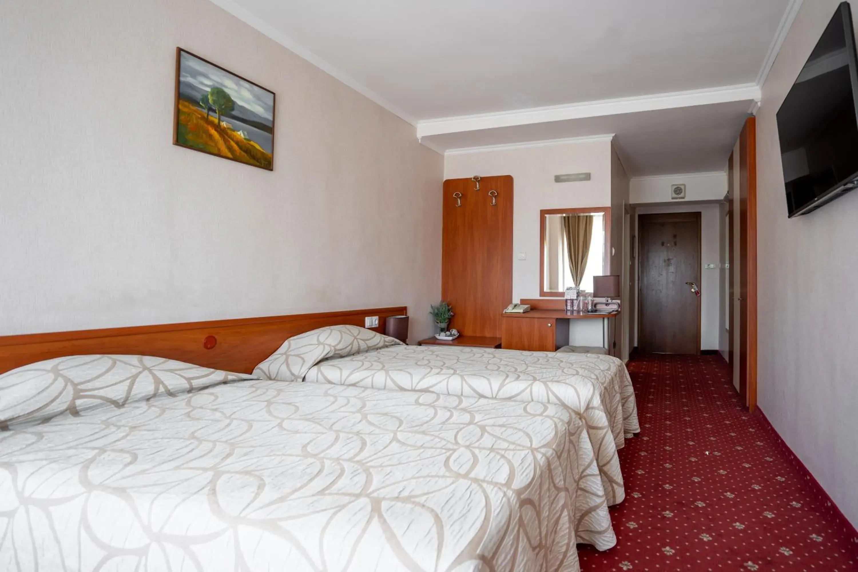 Standard Twin Room - single occupancy in Hissar Spa Hotel Standard Twin Room - single occupancy in Hissar Spa Hotel