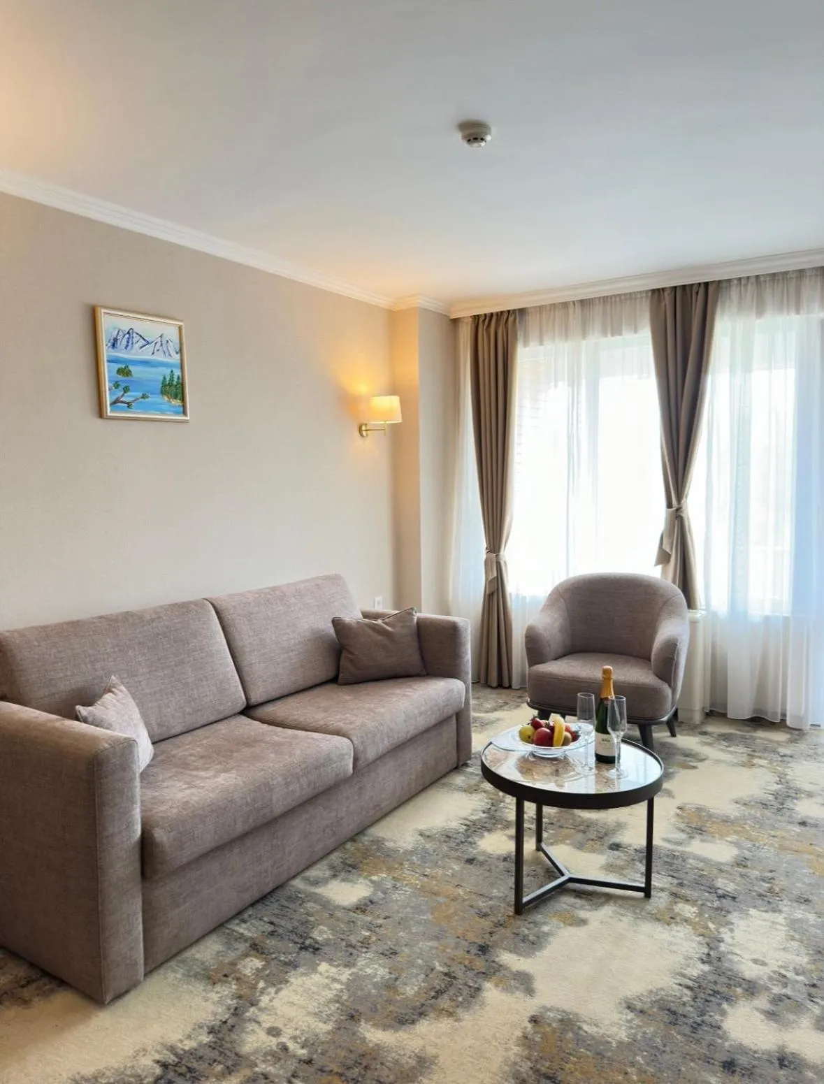 Living room in Hissar Spa Hotel