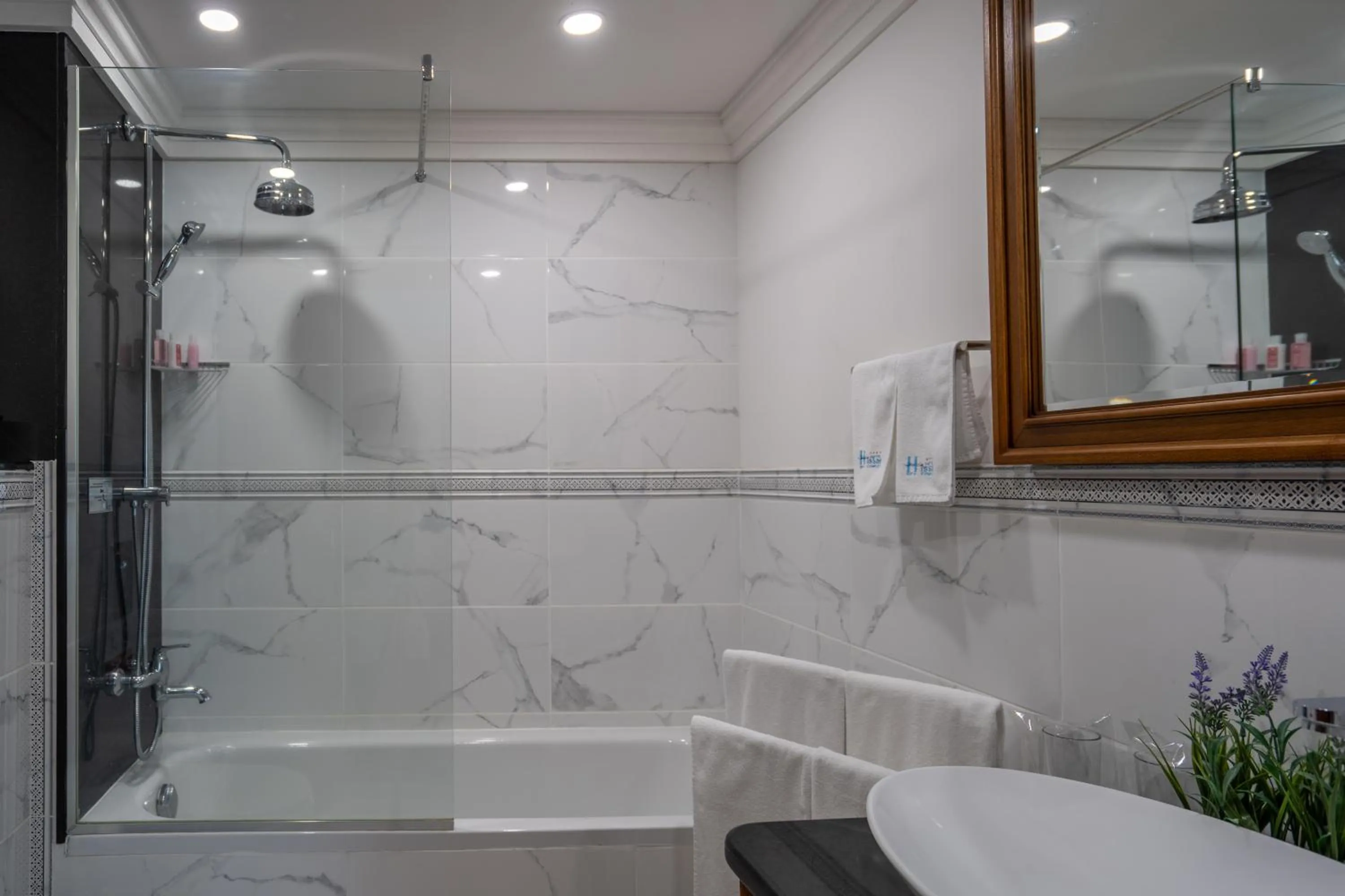 Shower in Hissar Spa Hotel