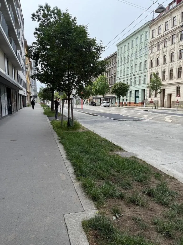 Street view in Rioca Vienna Posto 1