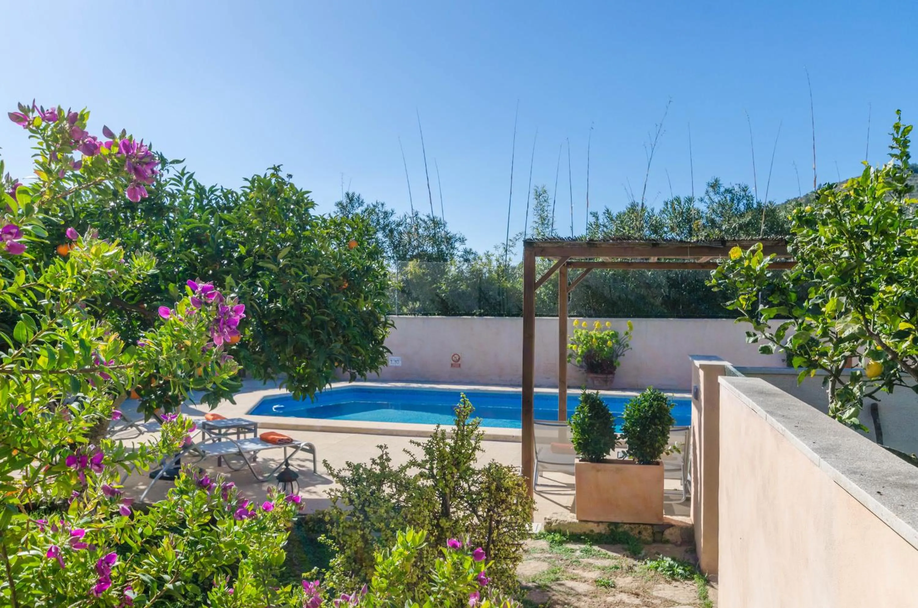 Swimming pool in Pula Viñas