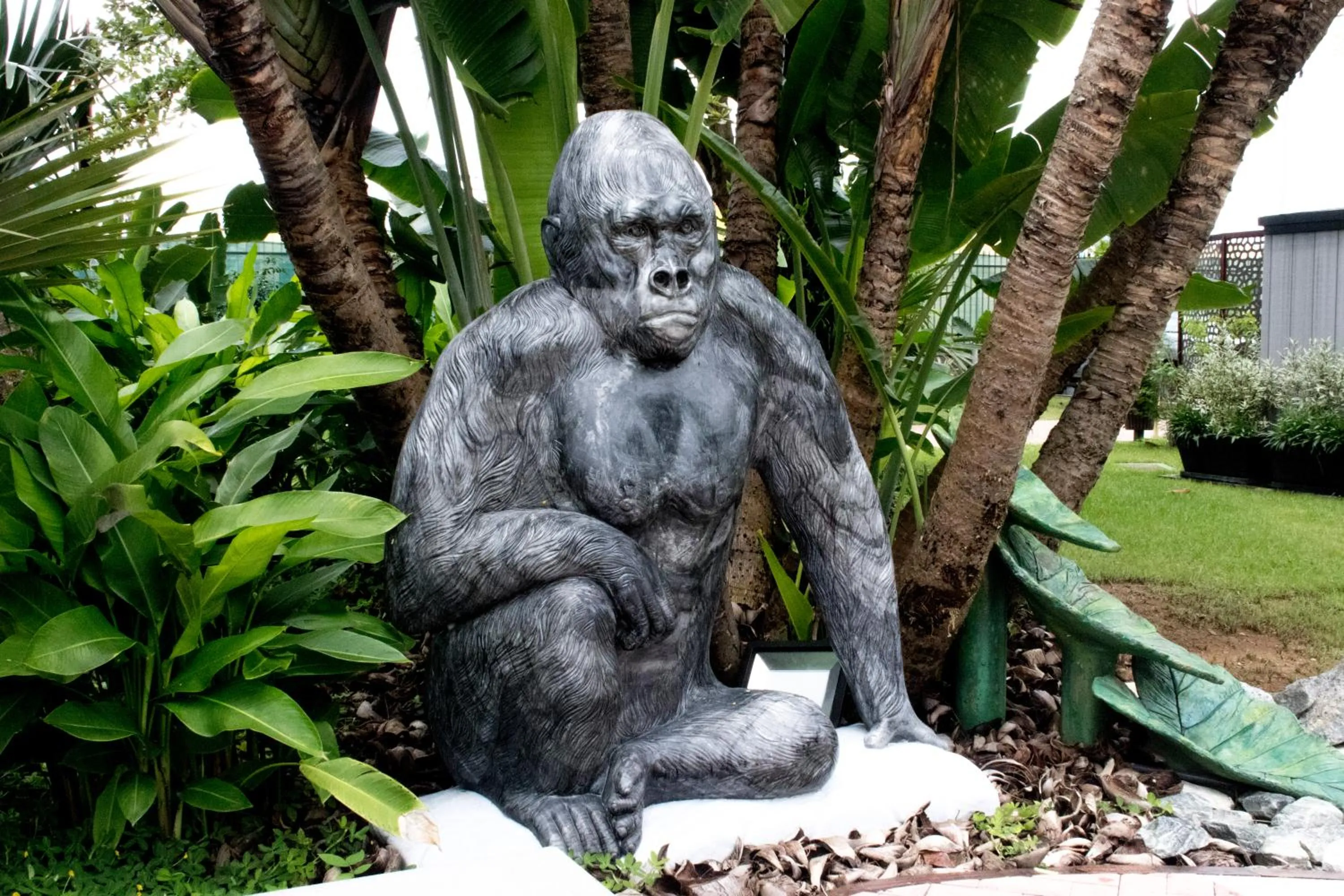 Property building in Panafrica Hotel Boutique & Spa