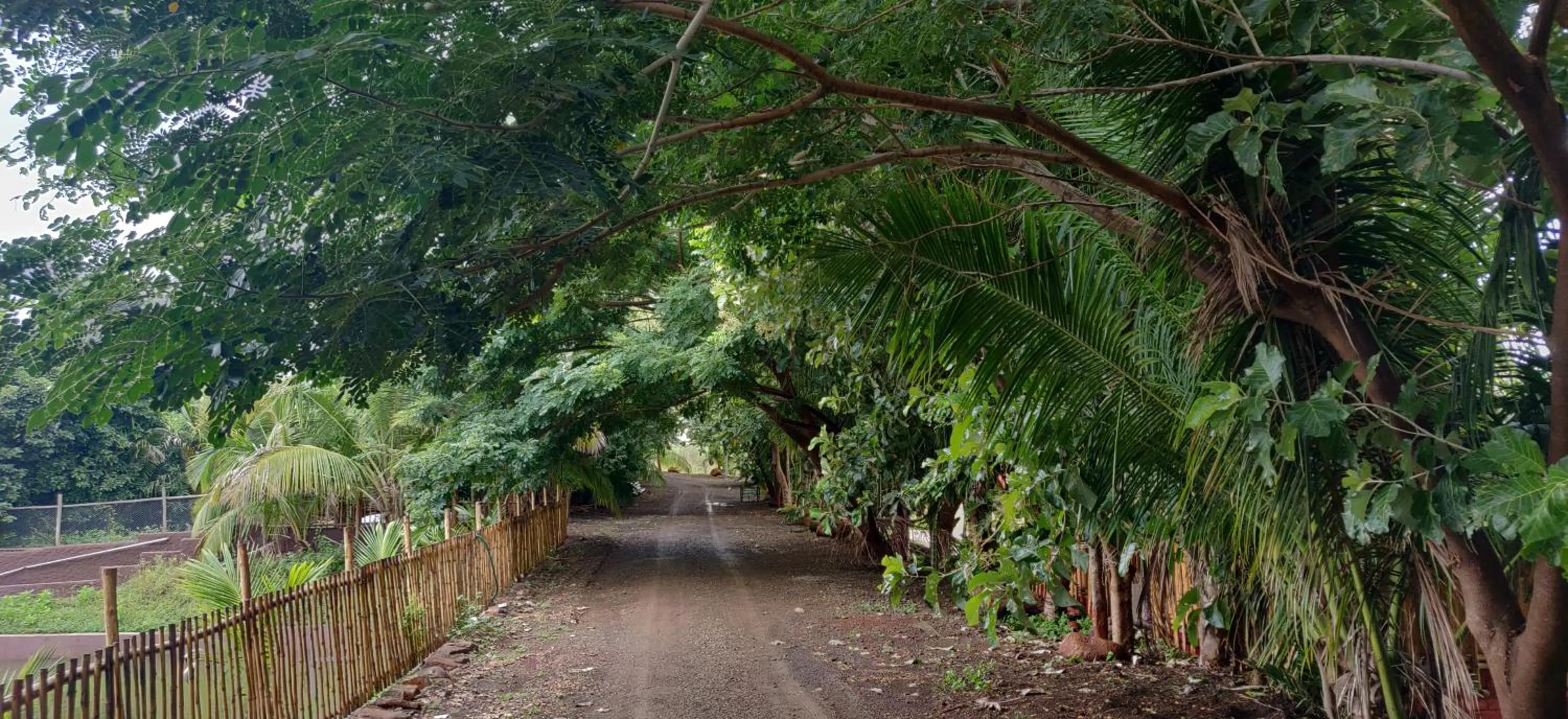 Day in Aranyagiri Countryside Resort, Near Pune