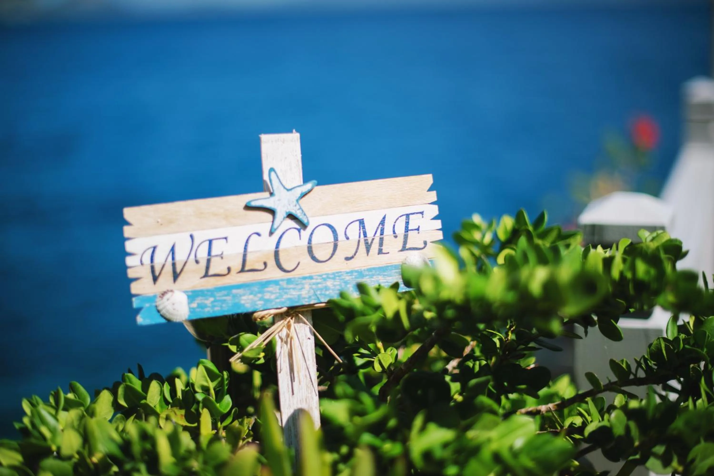 Balcony/Terrace in Karalis Beach