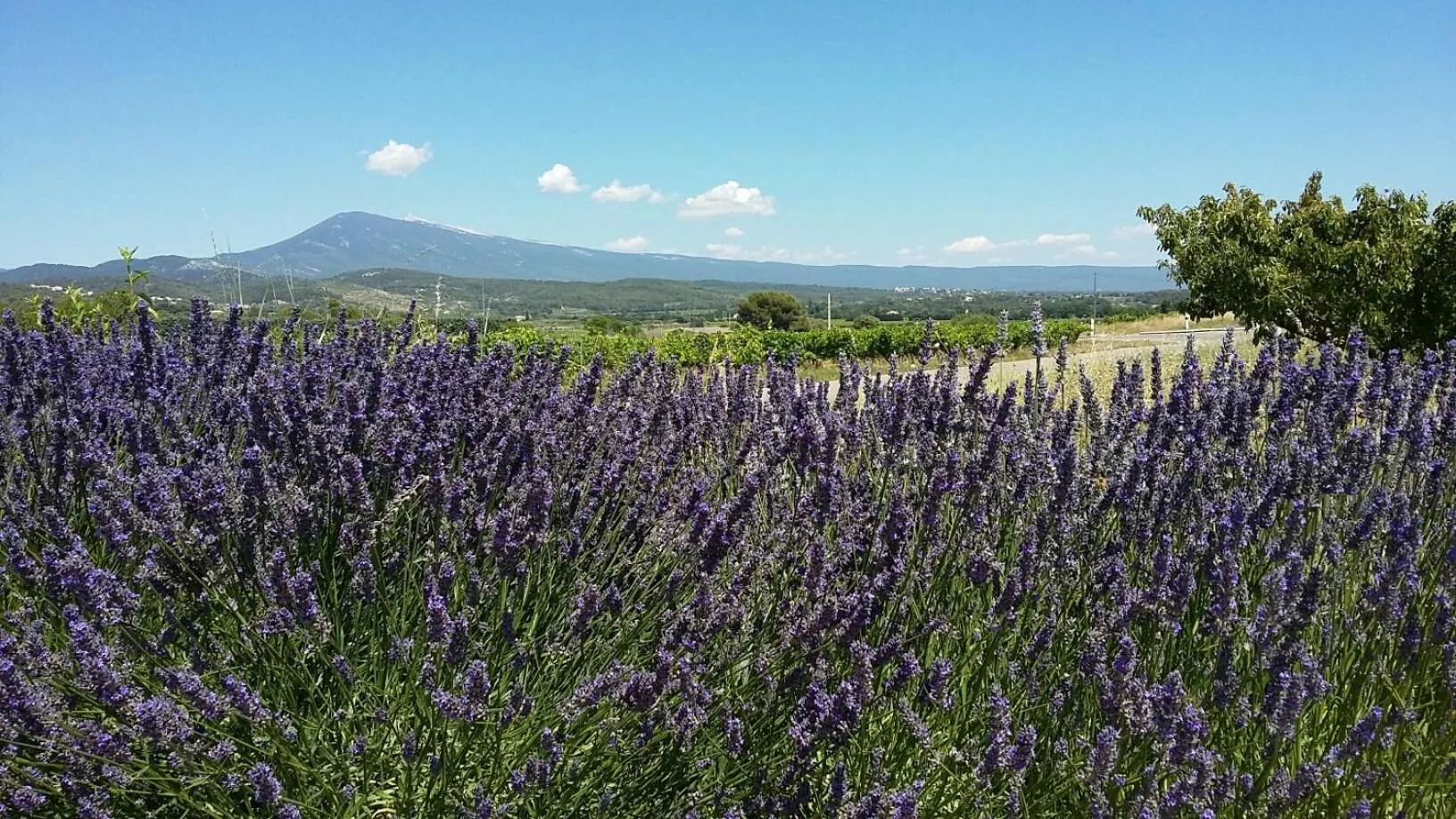 Landmark view in La Dentellière