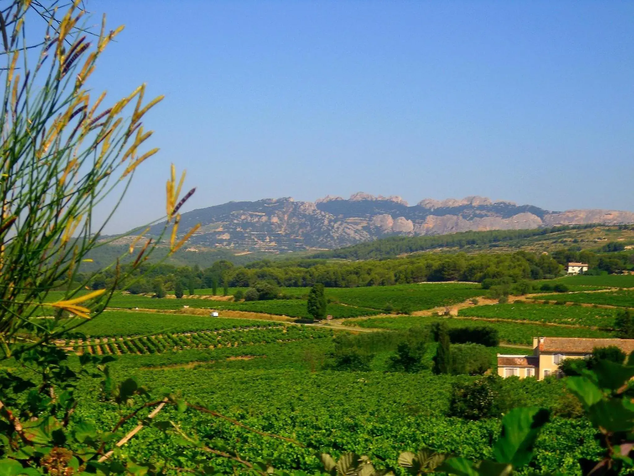 La Dentellière La Dentellière