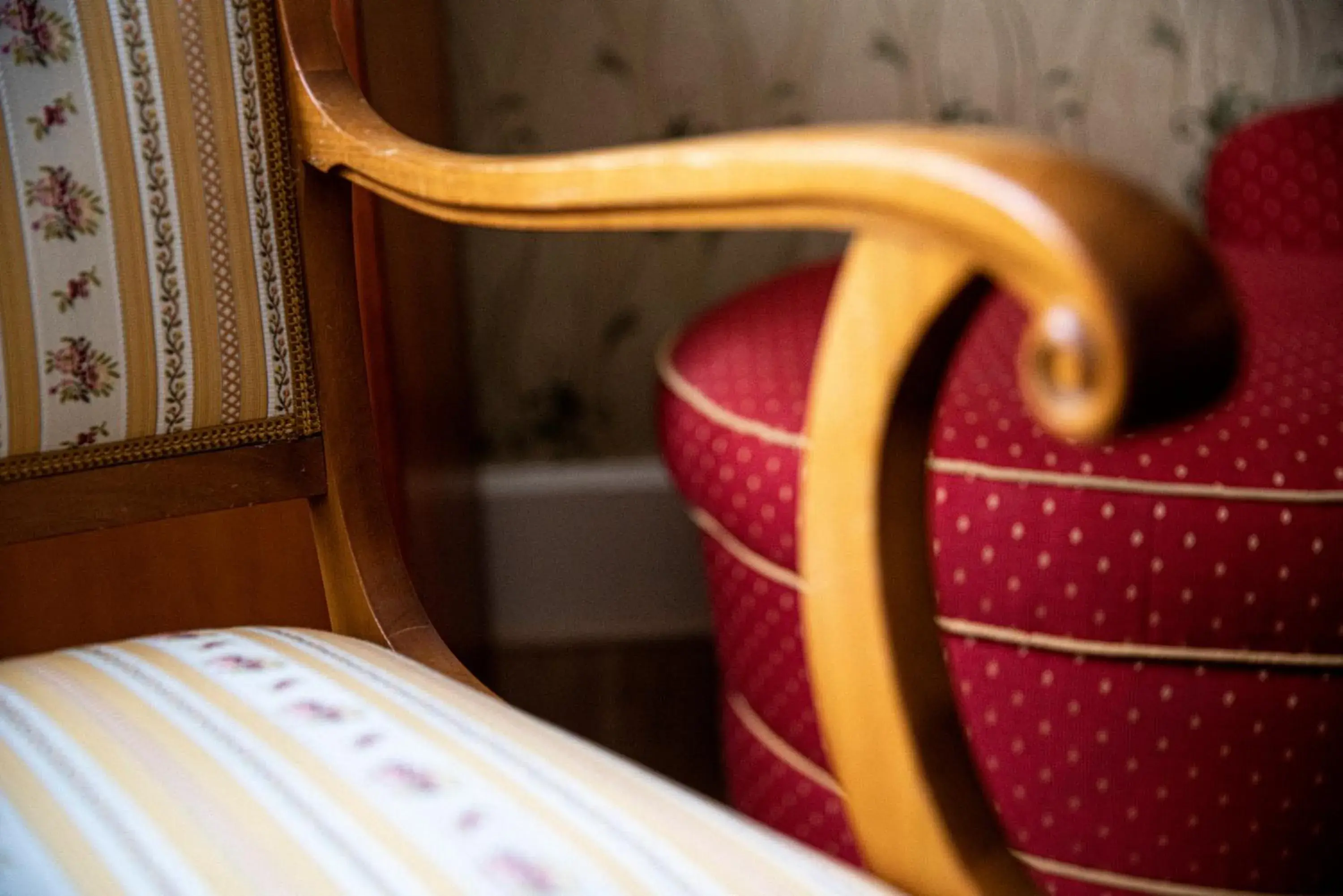 Superior Single Room in Boutique-Hotel Amalienhof Superior Single Room in Boutique-Hotel Amalienhof