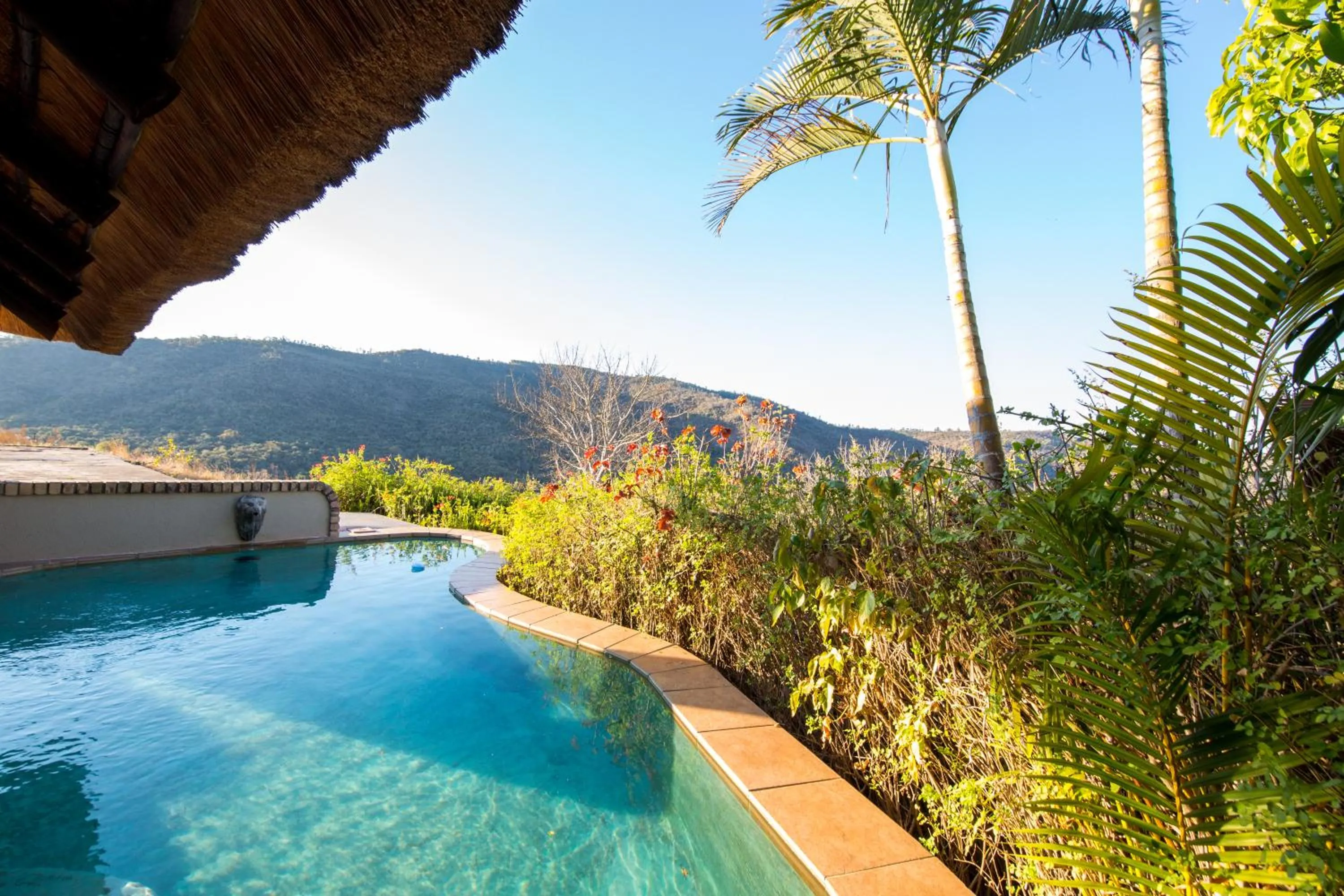 King Suite with Private Pool - single occupancy in Lions Rock Rapids - Lodge