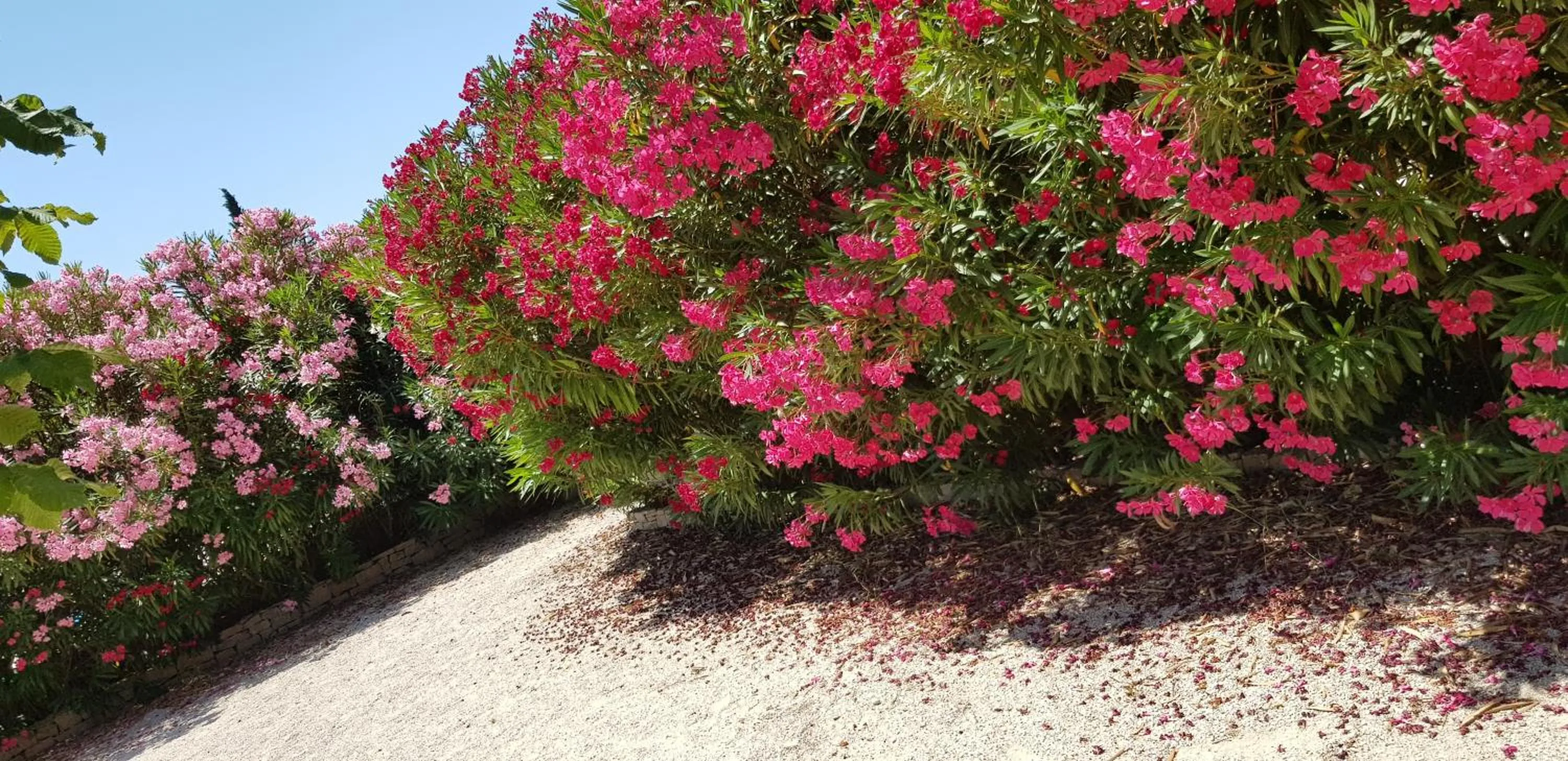 Patio in La Pastorale