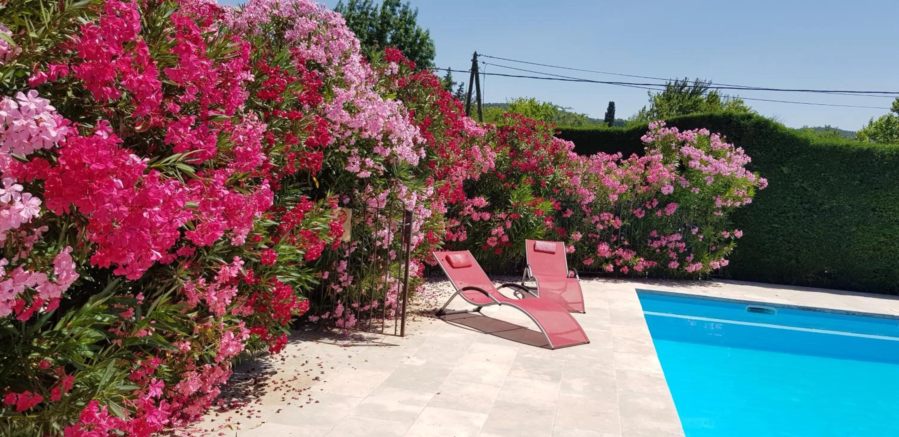 Pool view in La Pastorale
