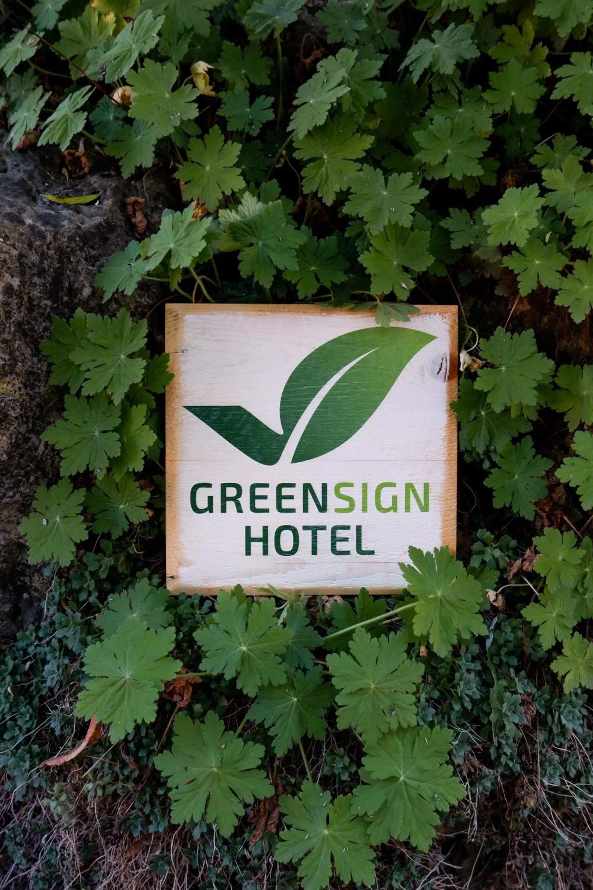 Other in Romantik Hotel Hirschen