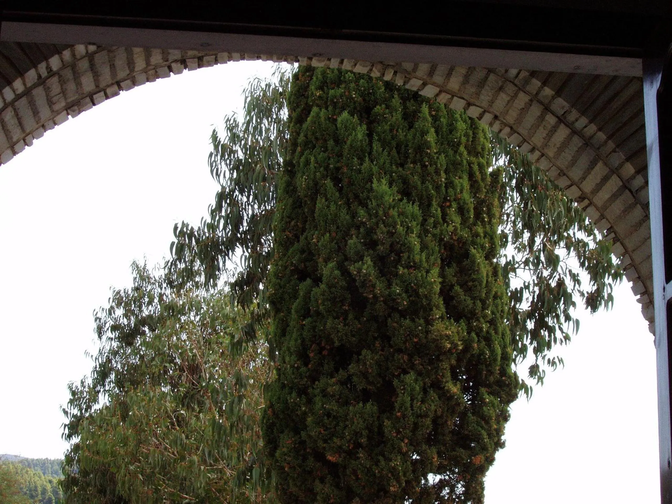 Day in Hotel Hellinikon