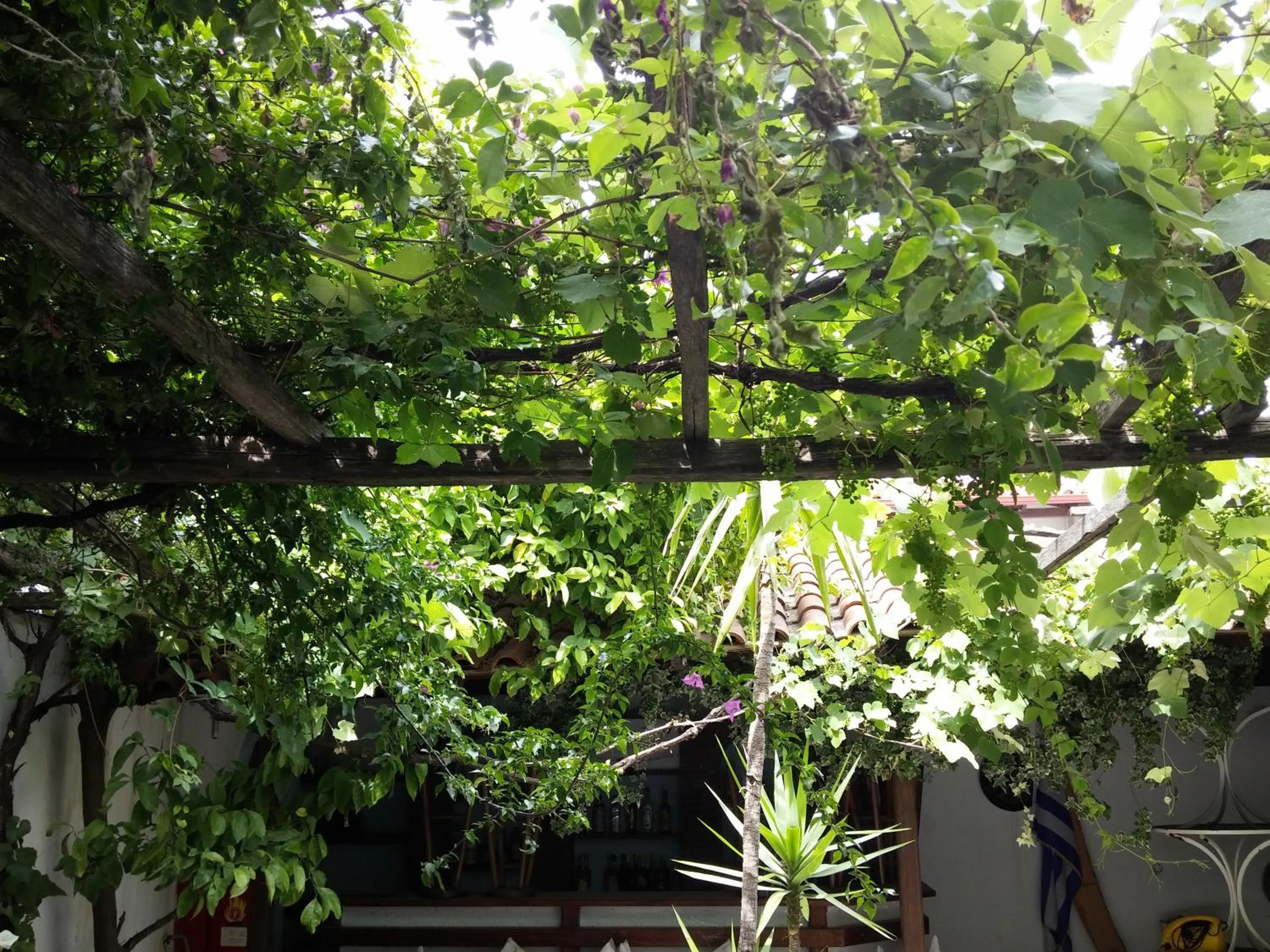 Day in Hotel Hellinikon