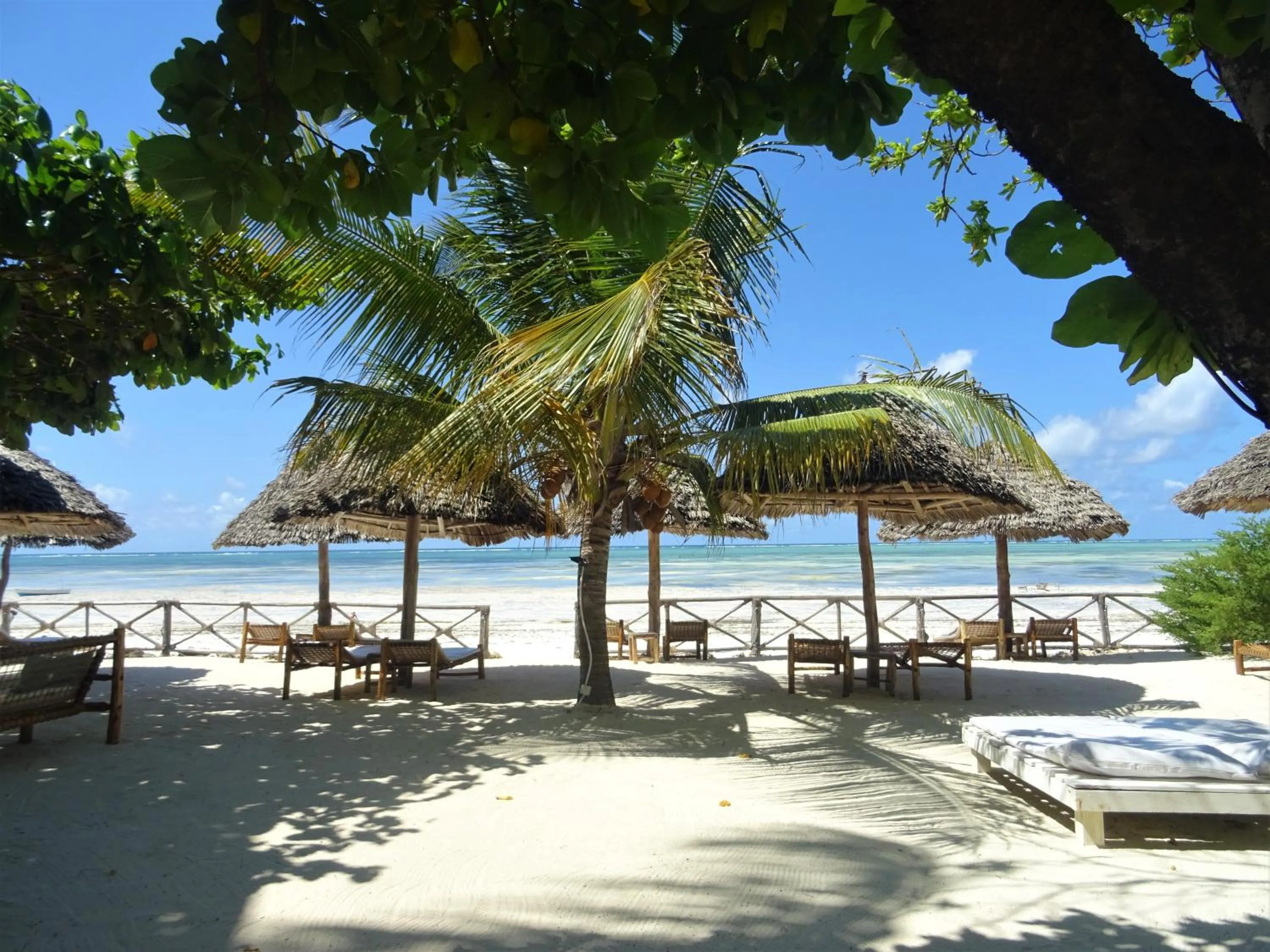Natural landscape in Makuti Beach Bungalows